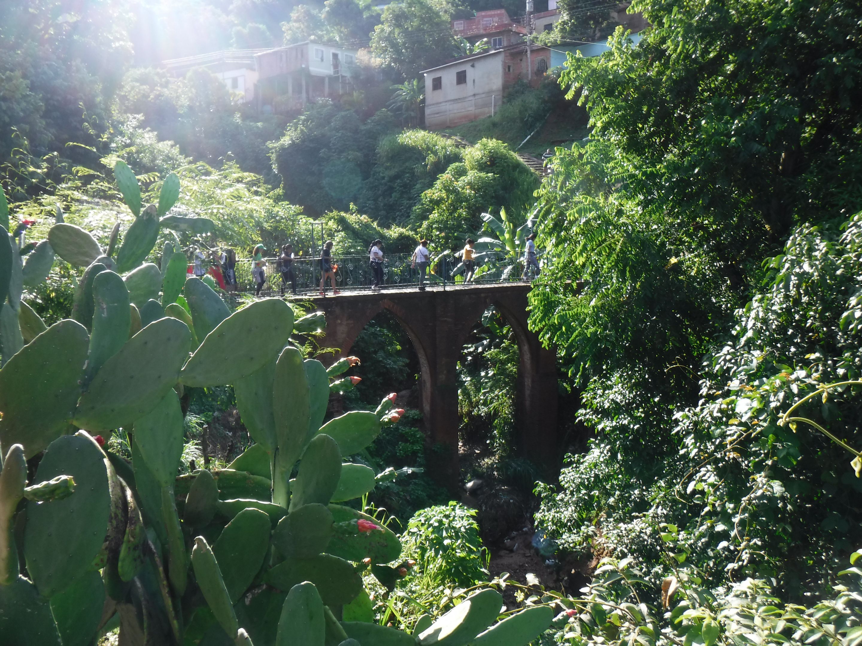 DSCF8270.JPG