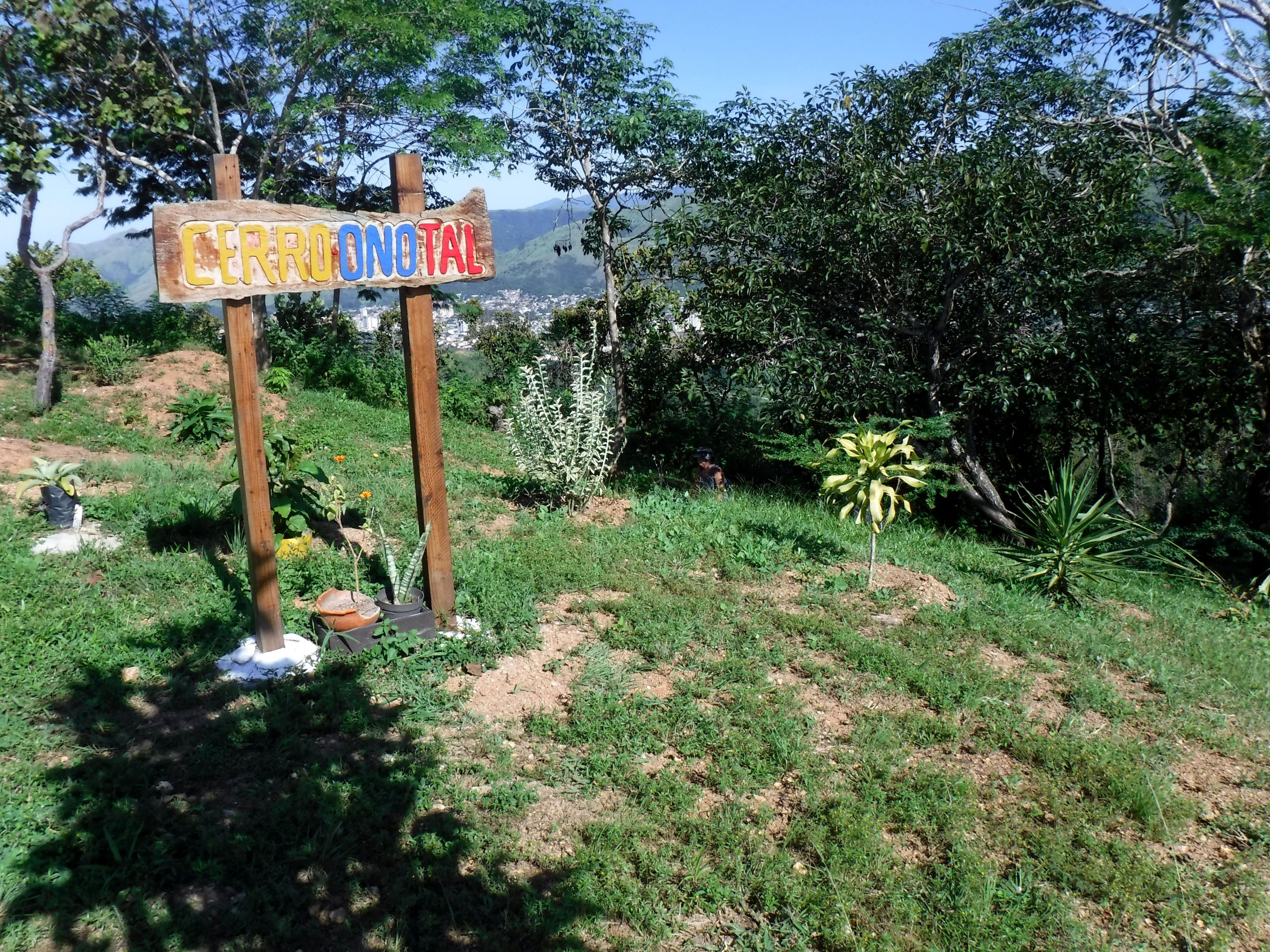 DSCF8359.JPG