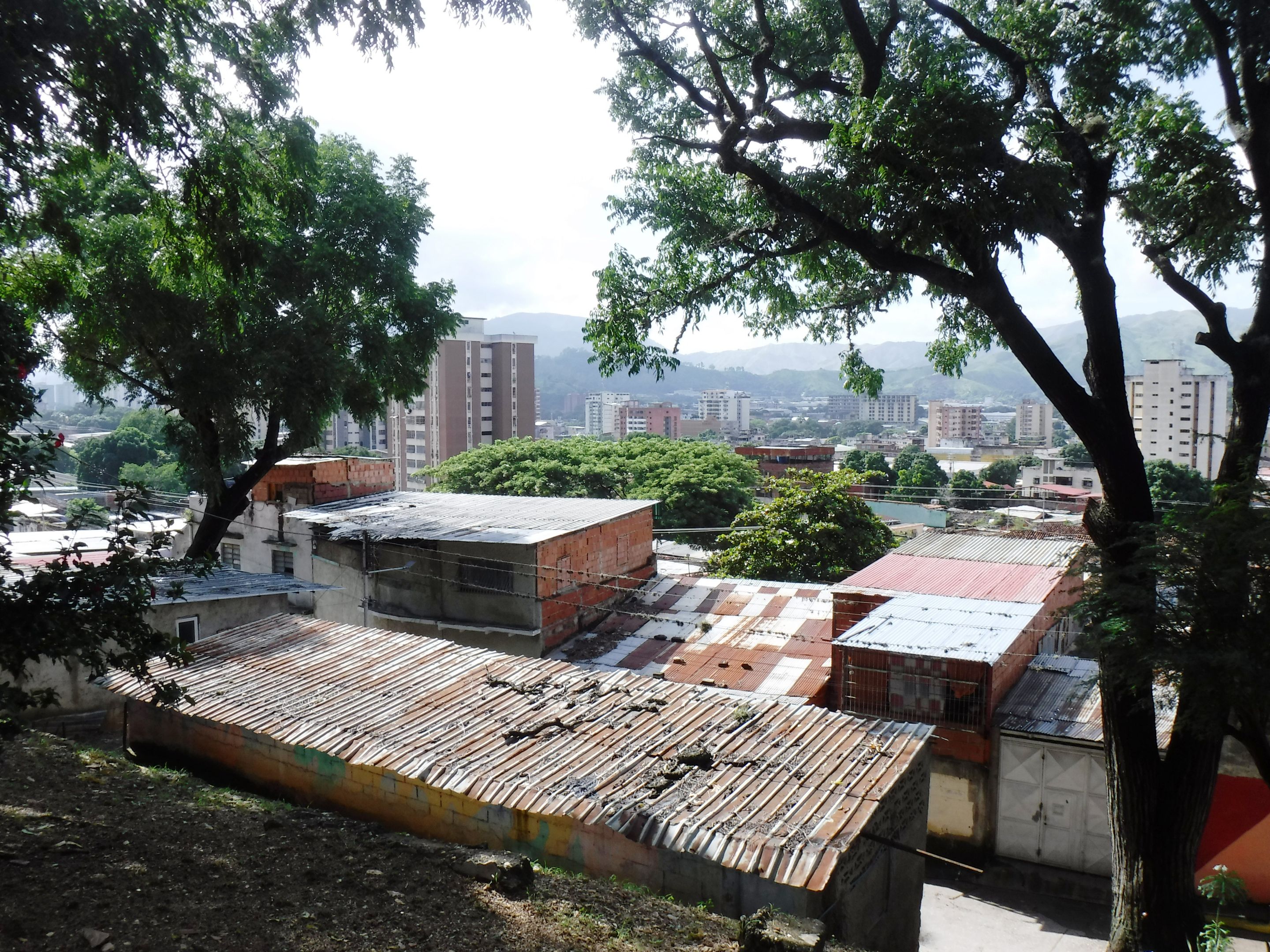 DSCF8337.JPG
