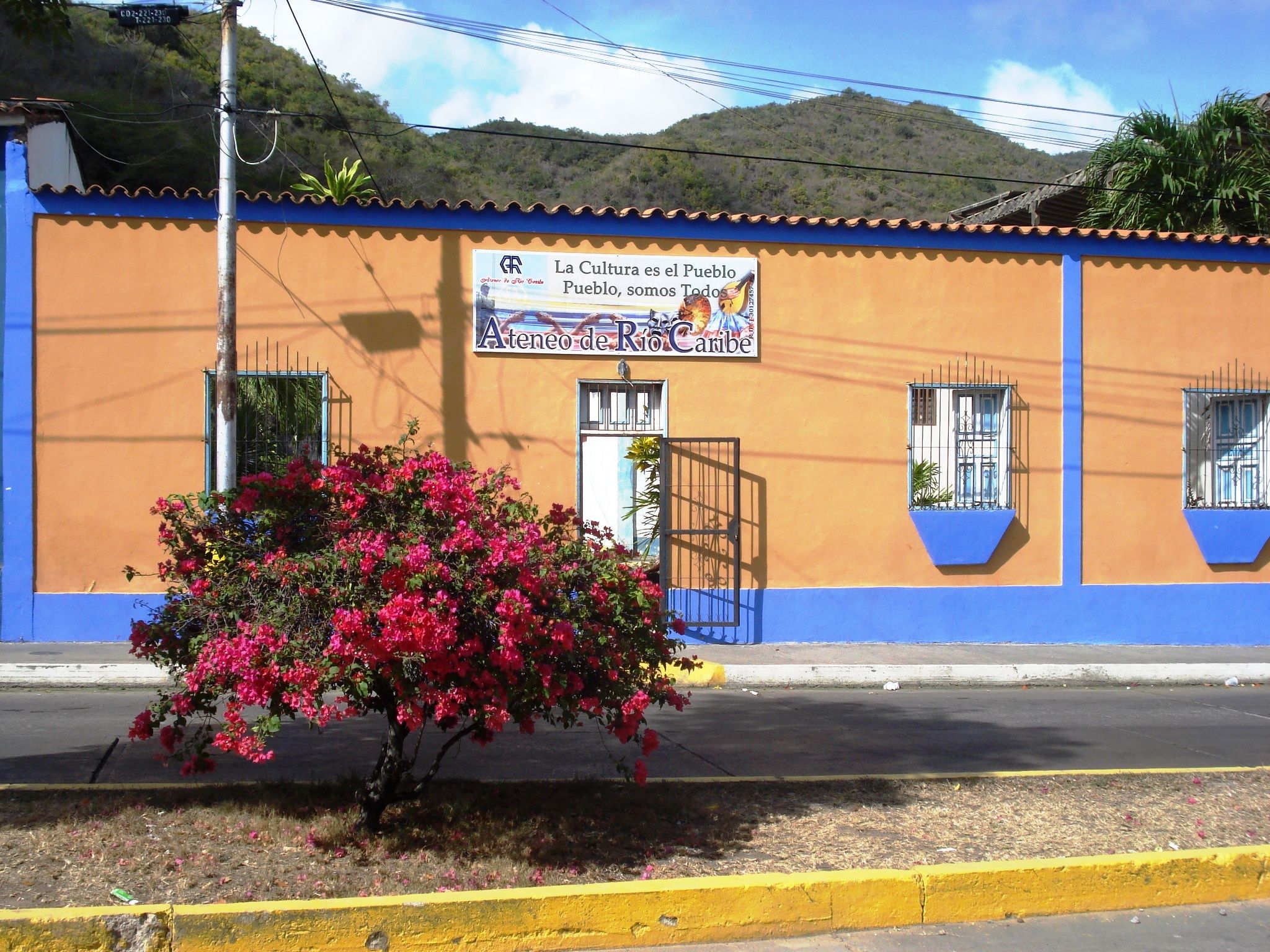 179.JPG