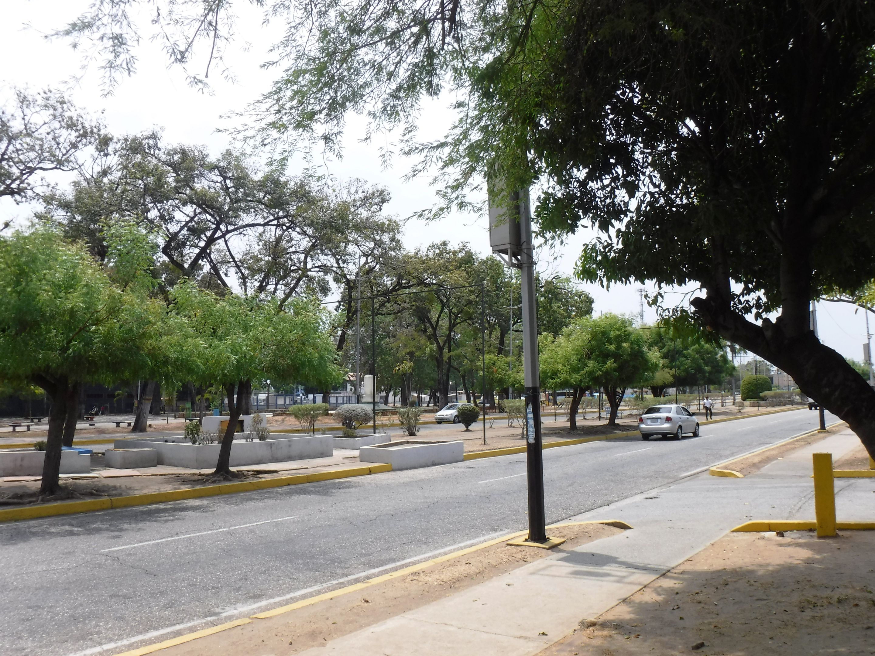 DSCF8217.JPG