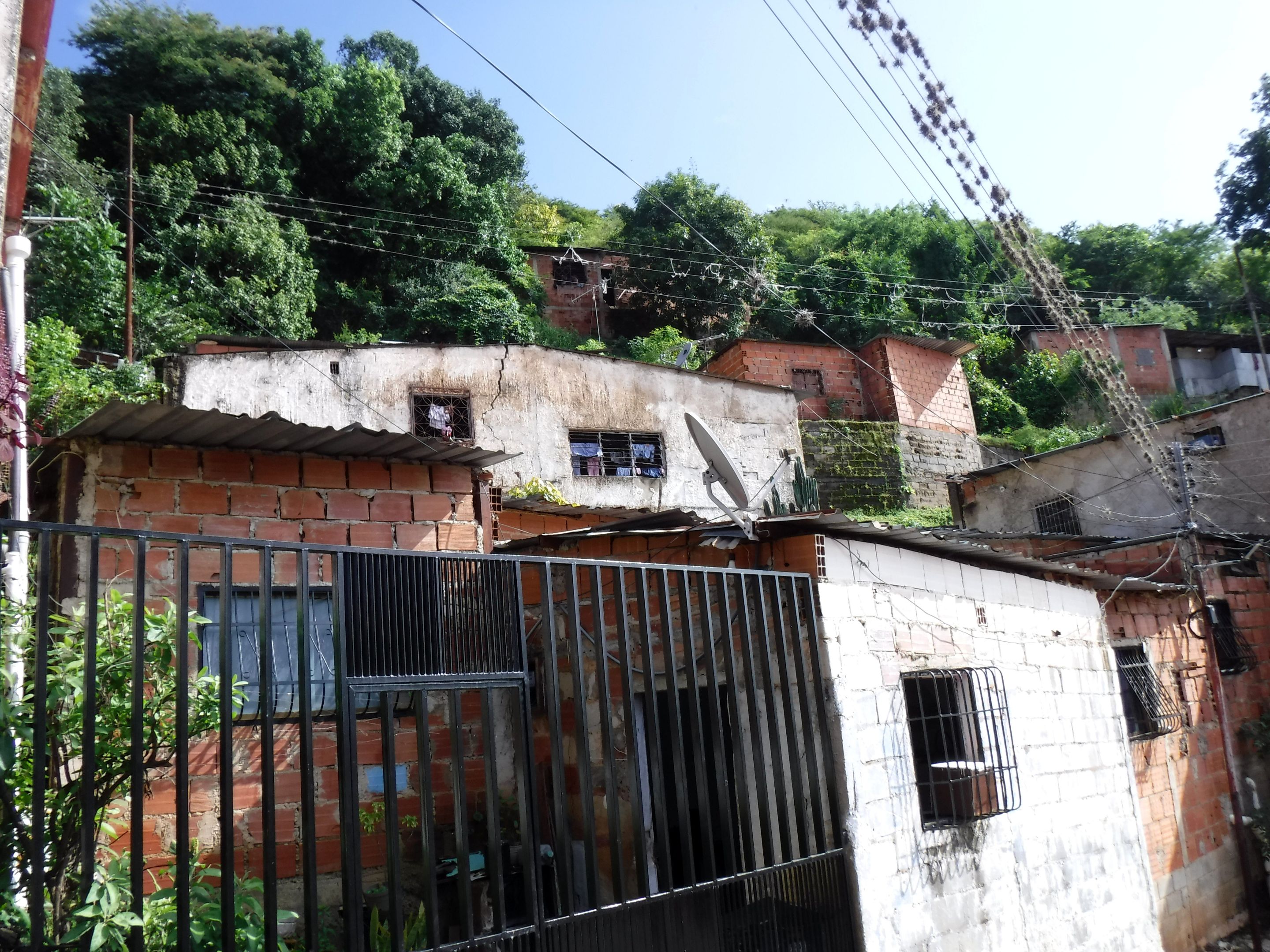 DSCF8328.JPG