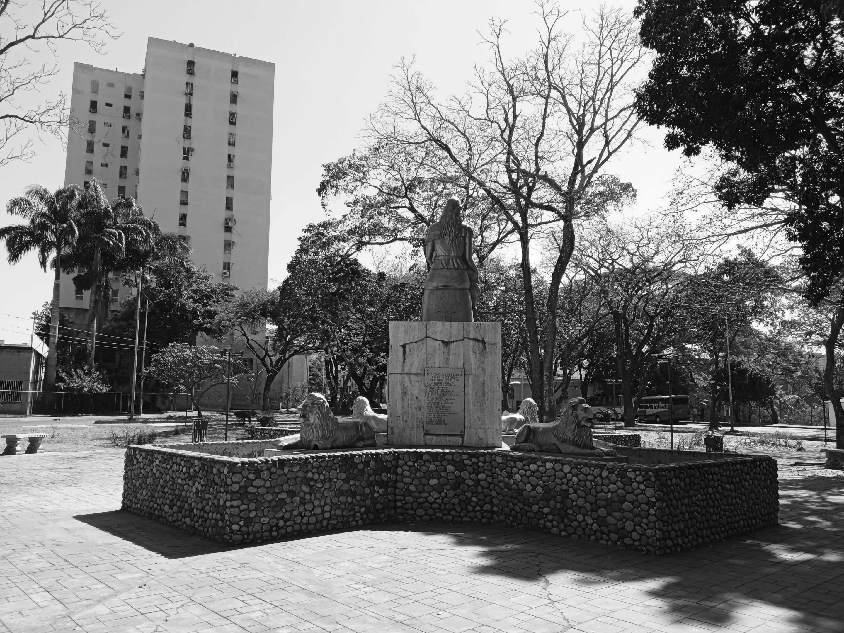 IMG_20230116_194849.jpg