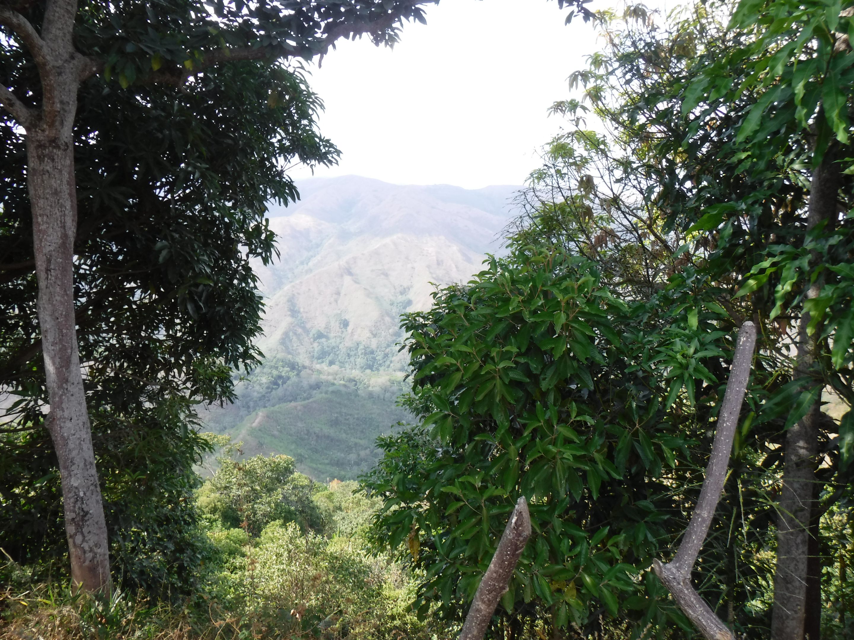 DSCF7933.JPG