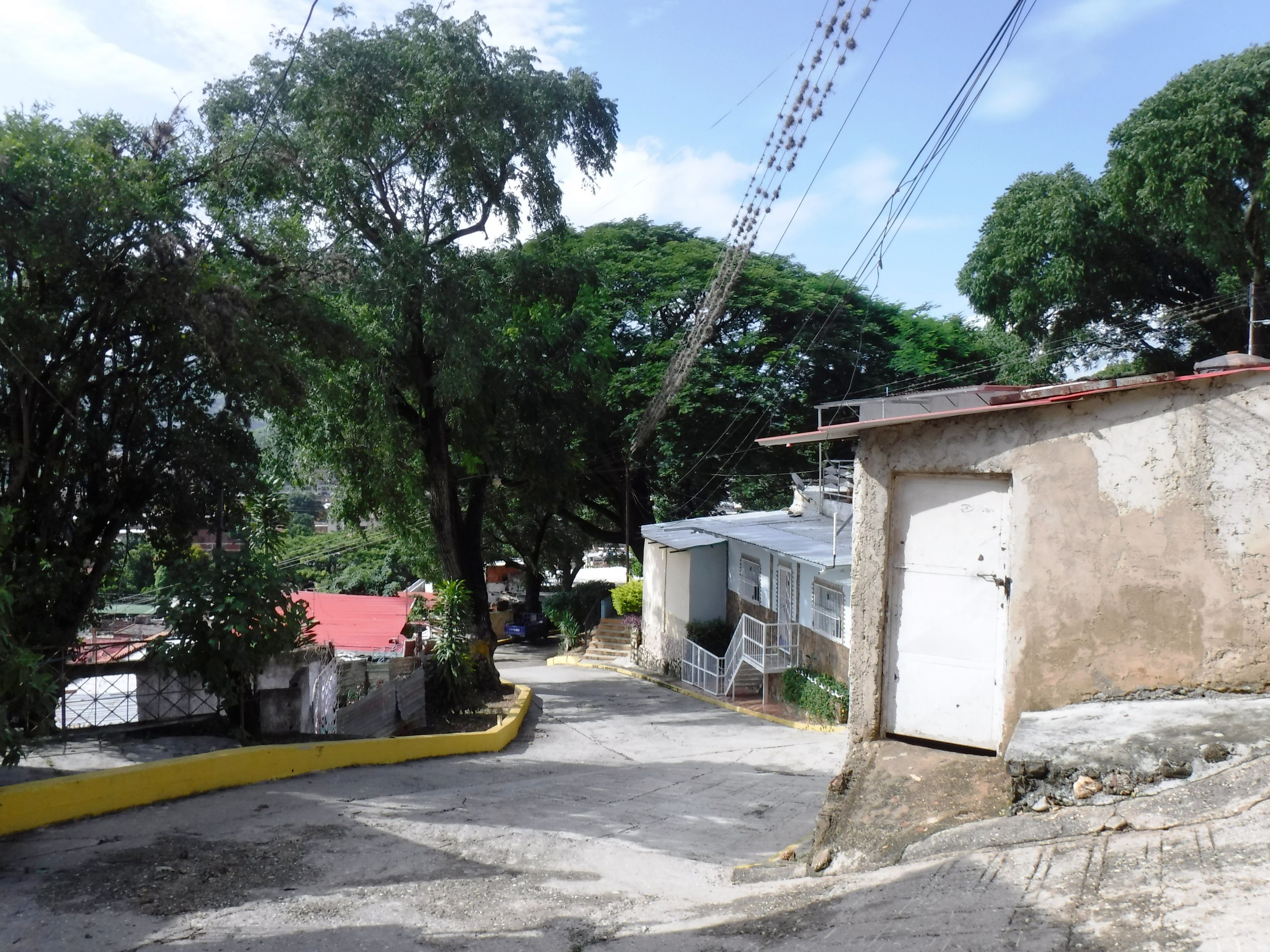 DSCF8330.JPG