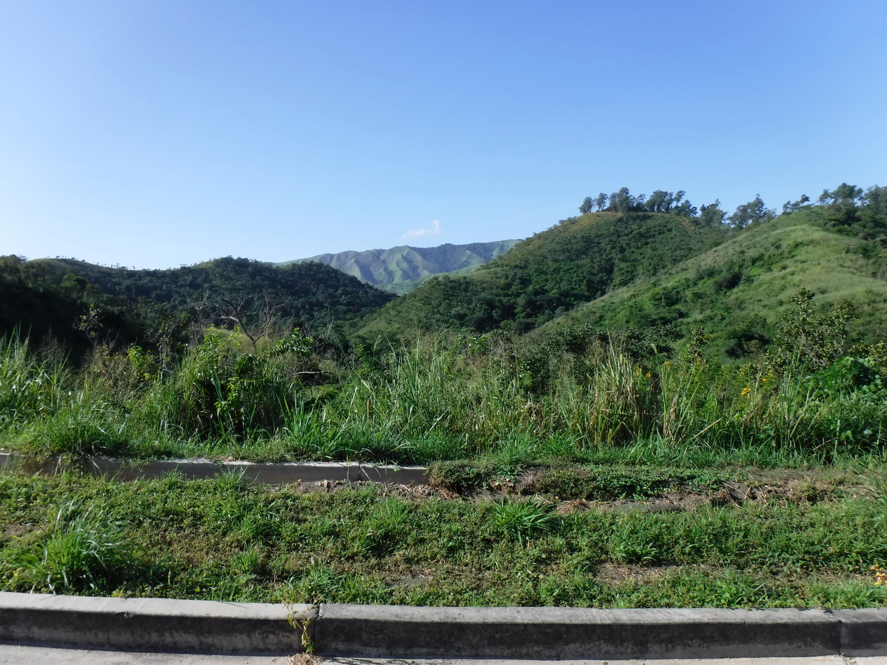 DSCF8346.JPG