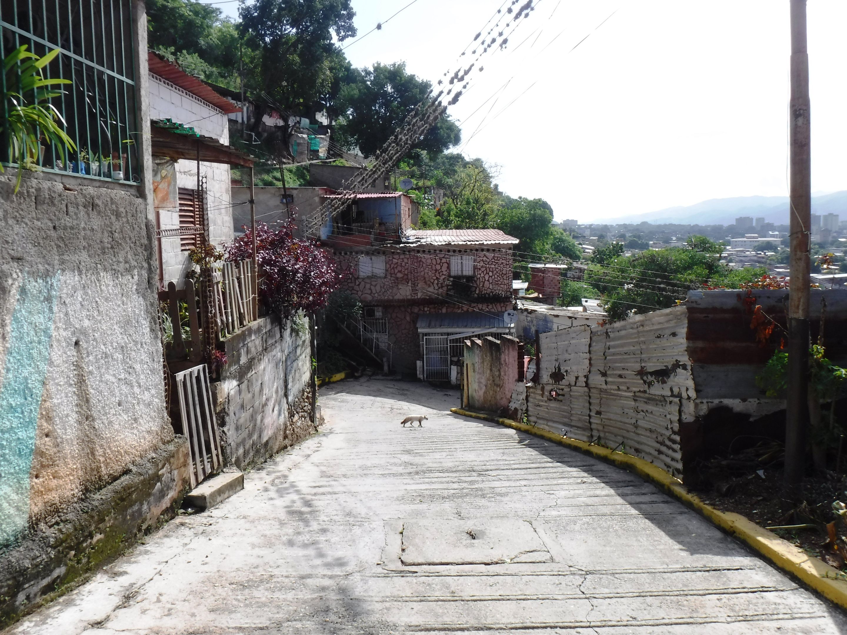 DSCF8326.JPG