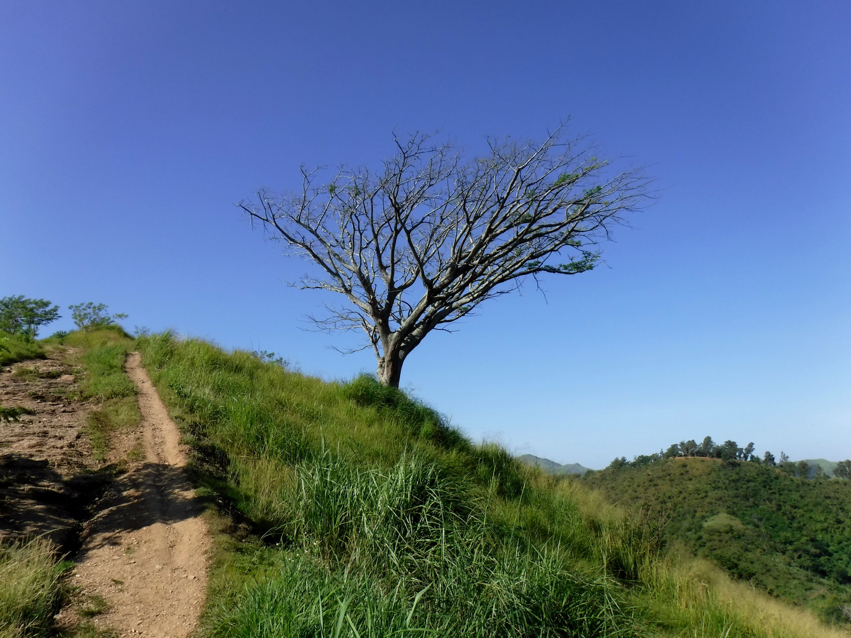 DSCF8349.JPG