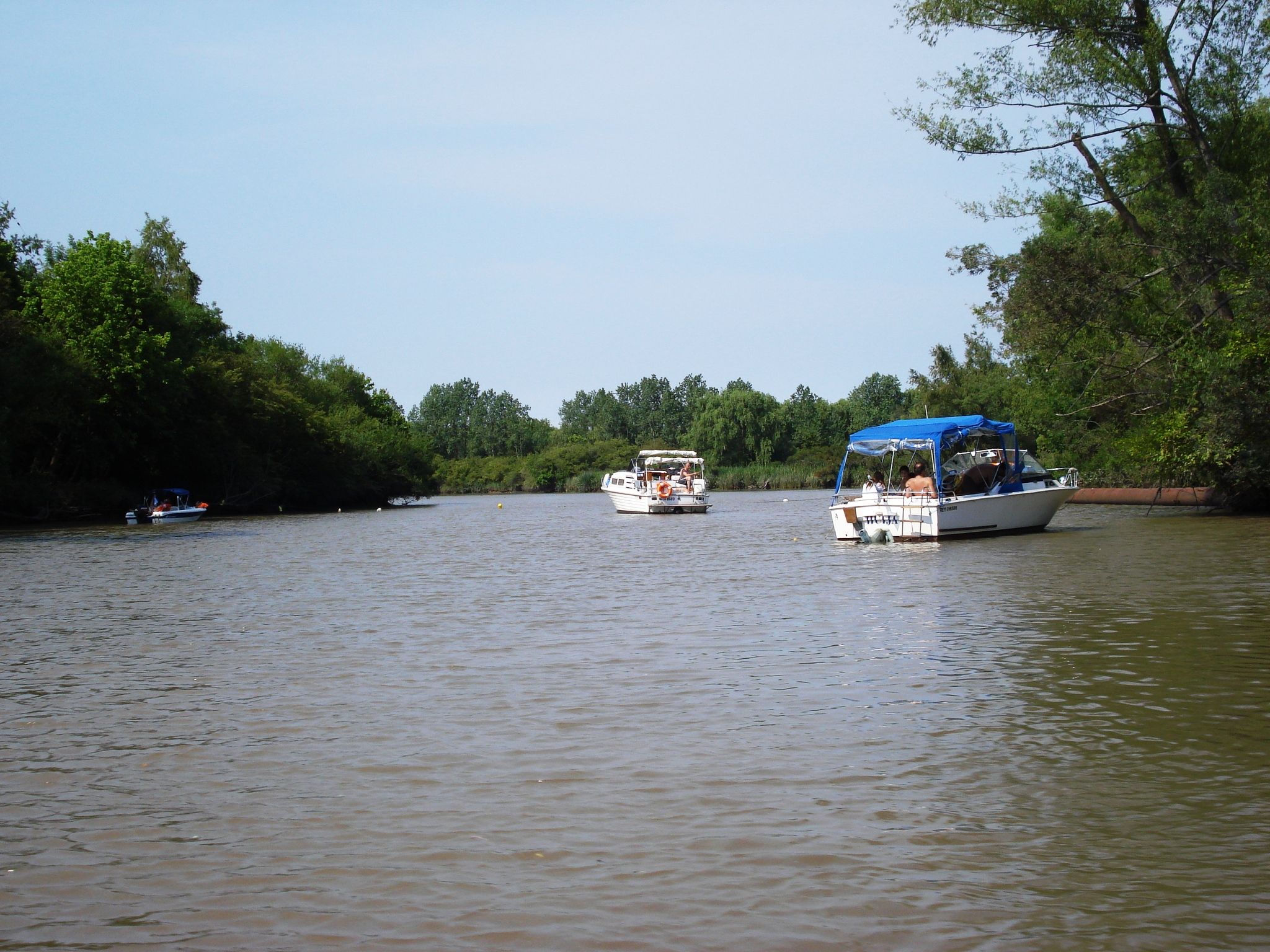DSC09254.JPG