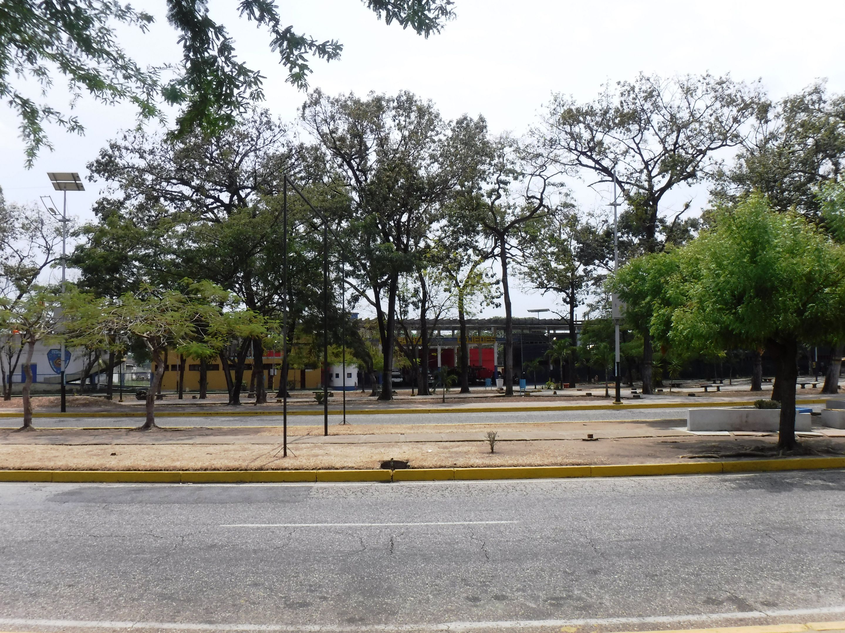 DSCF8216.JPG