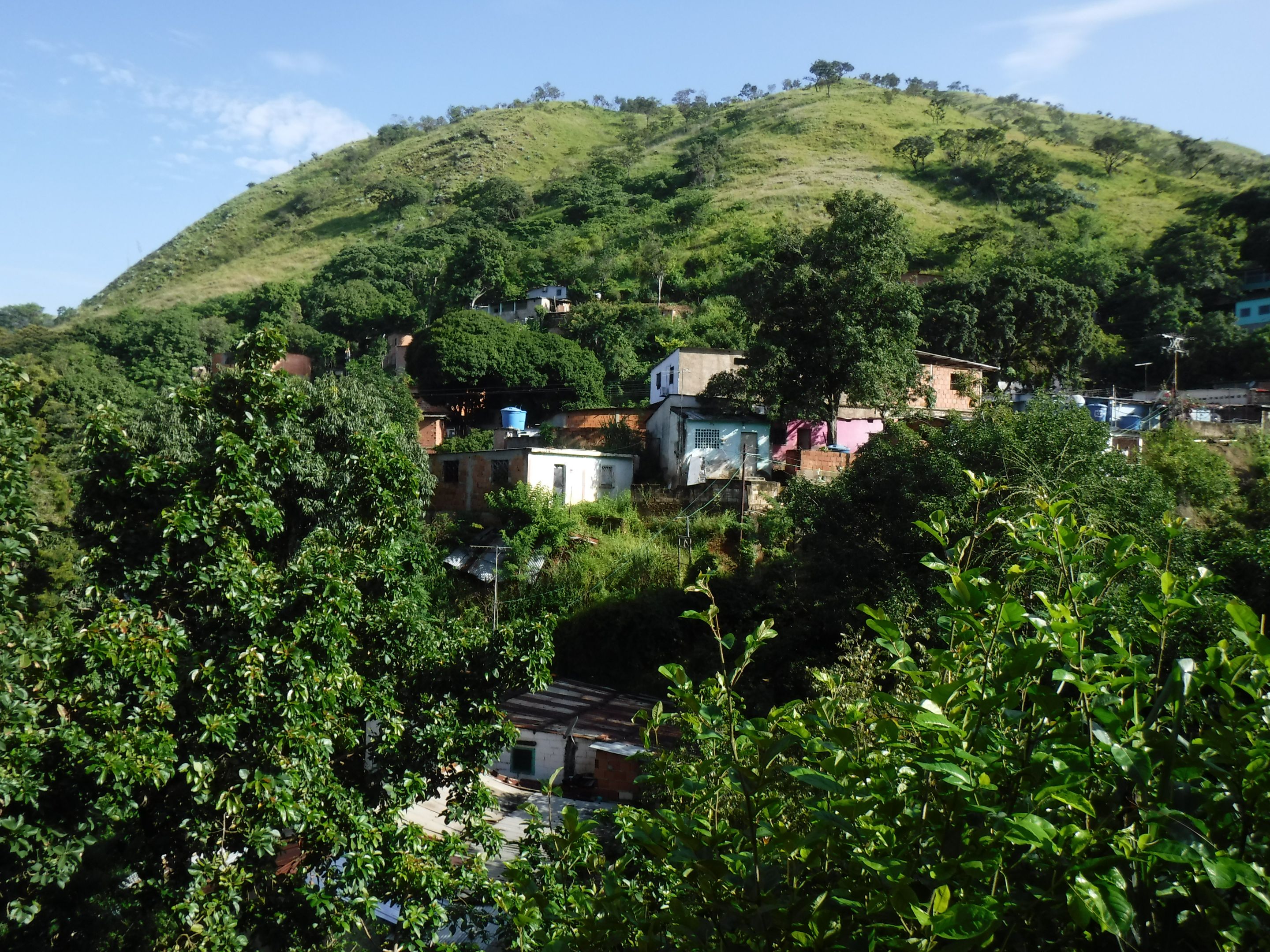 DSCF8286.JPG