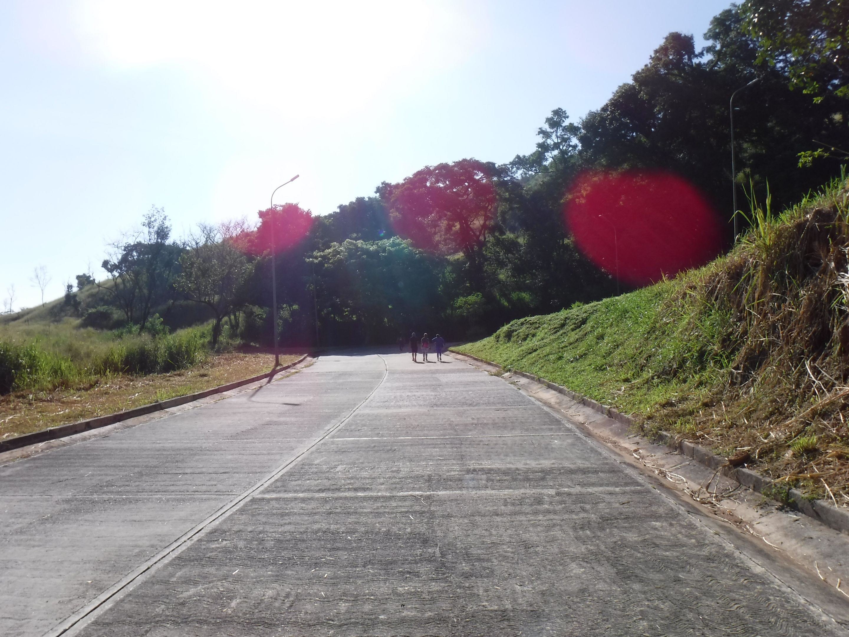DSCF8343.JPG