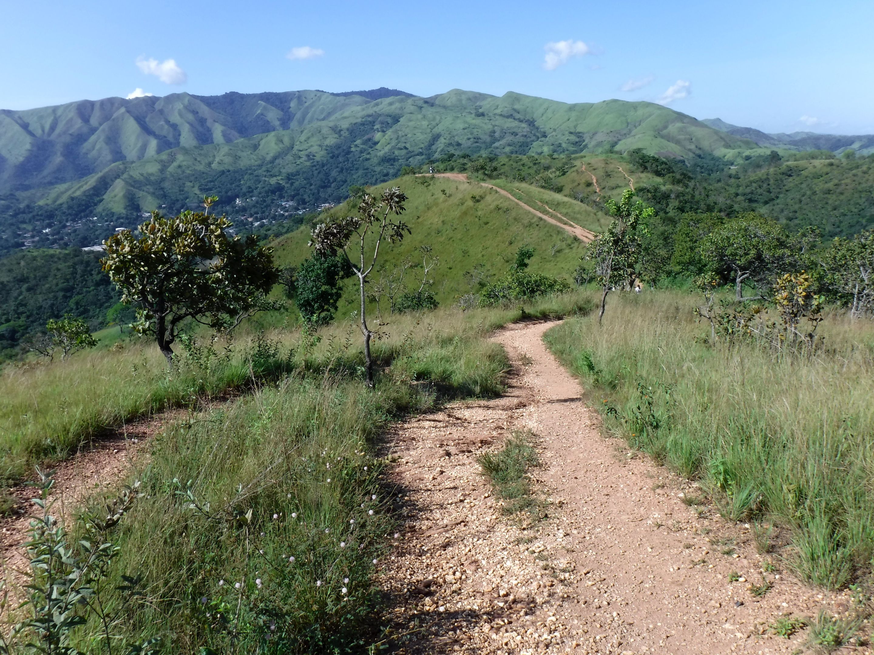 DSCF8366.JPG
