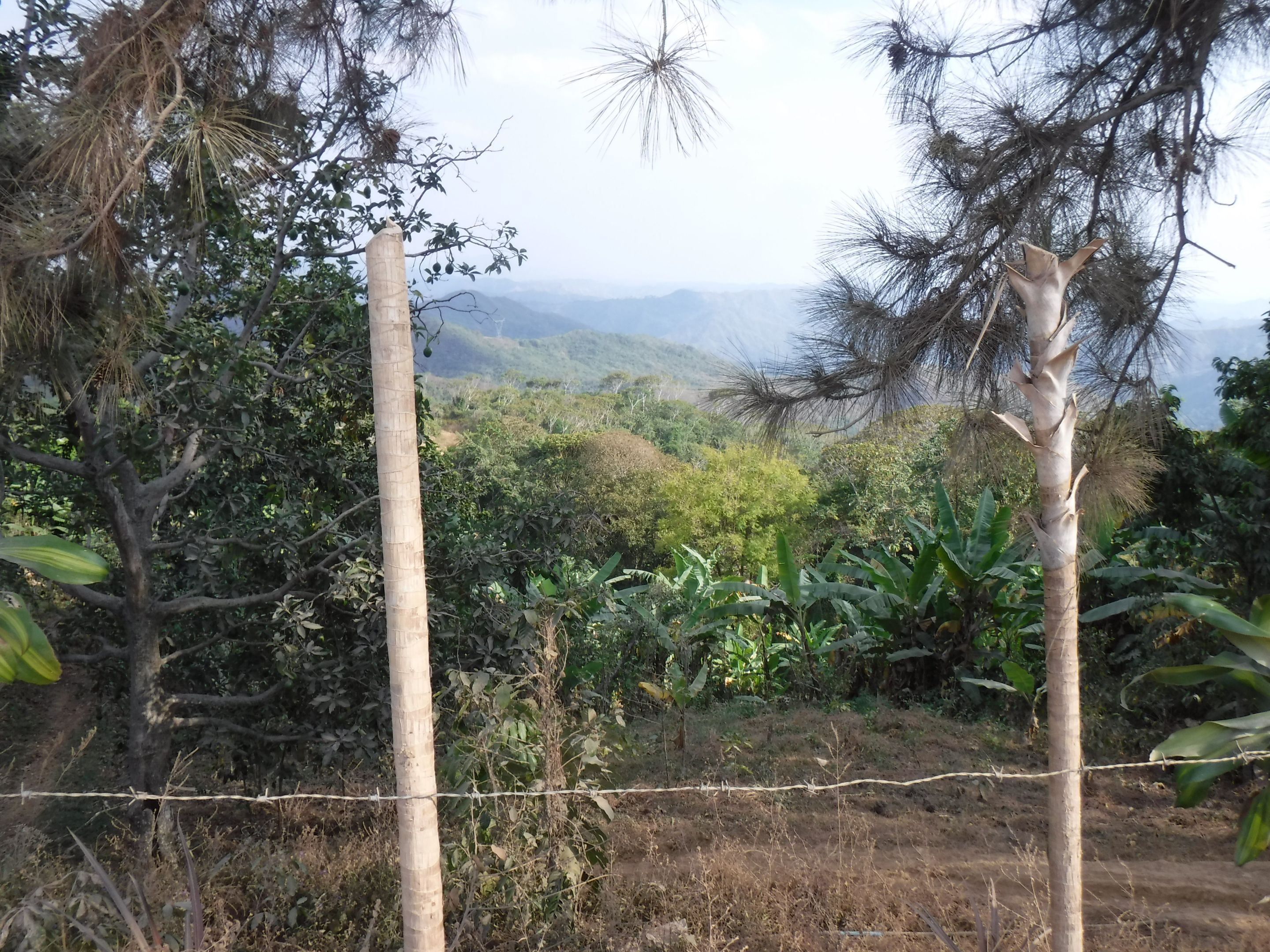 DSCF8175.JPG