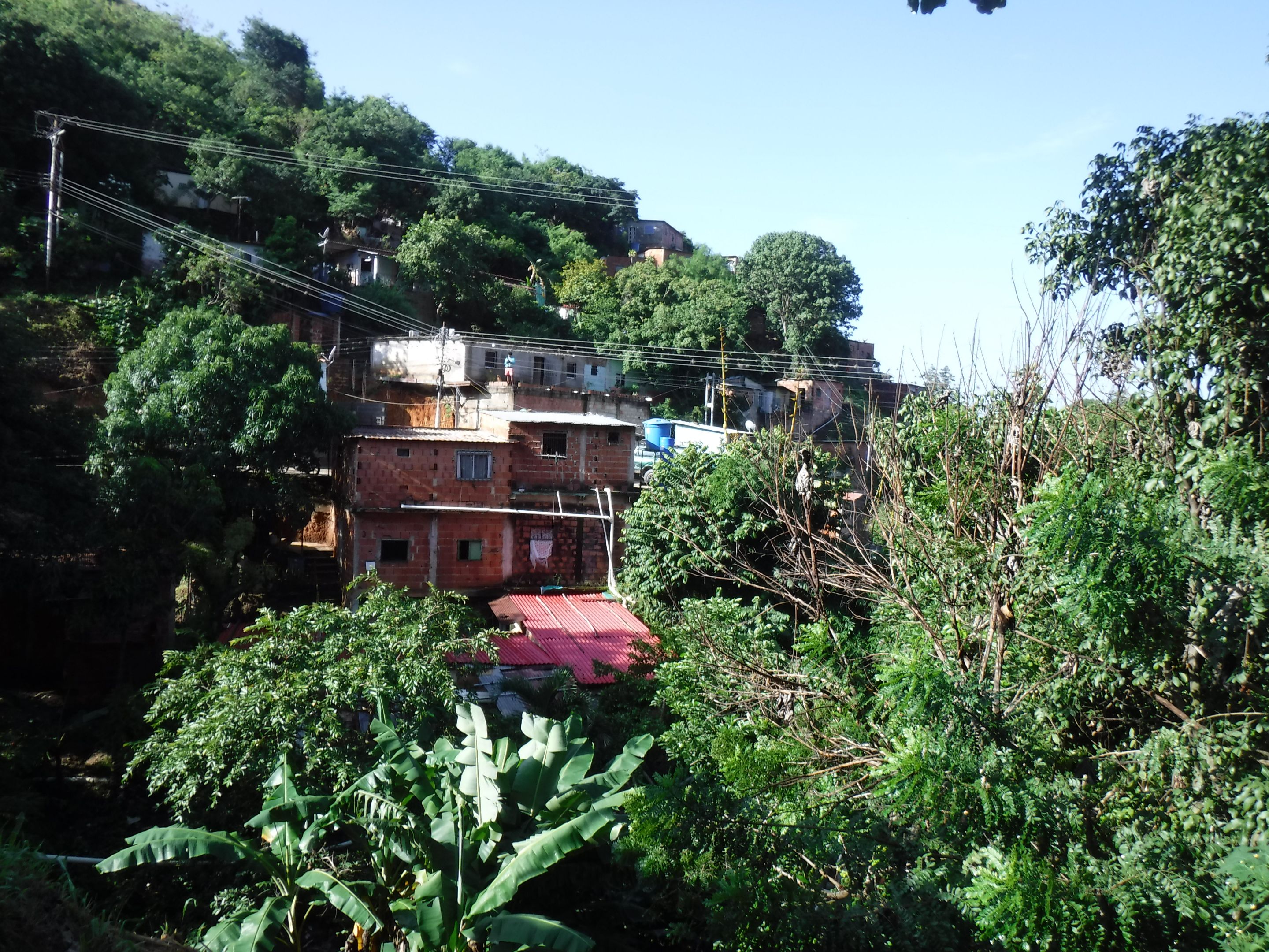 DSCF8269.JPG