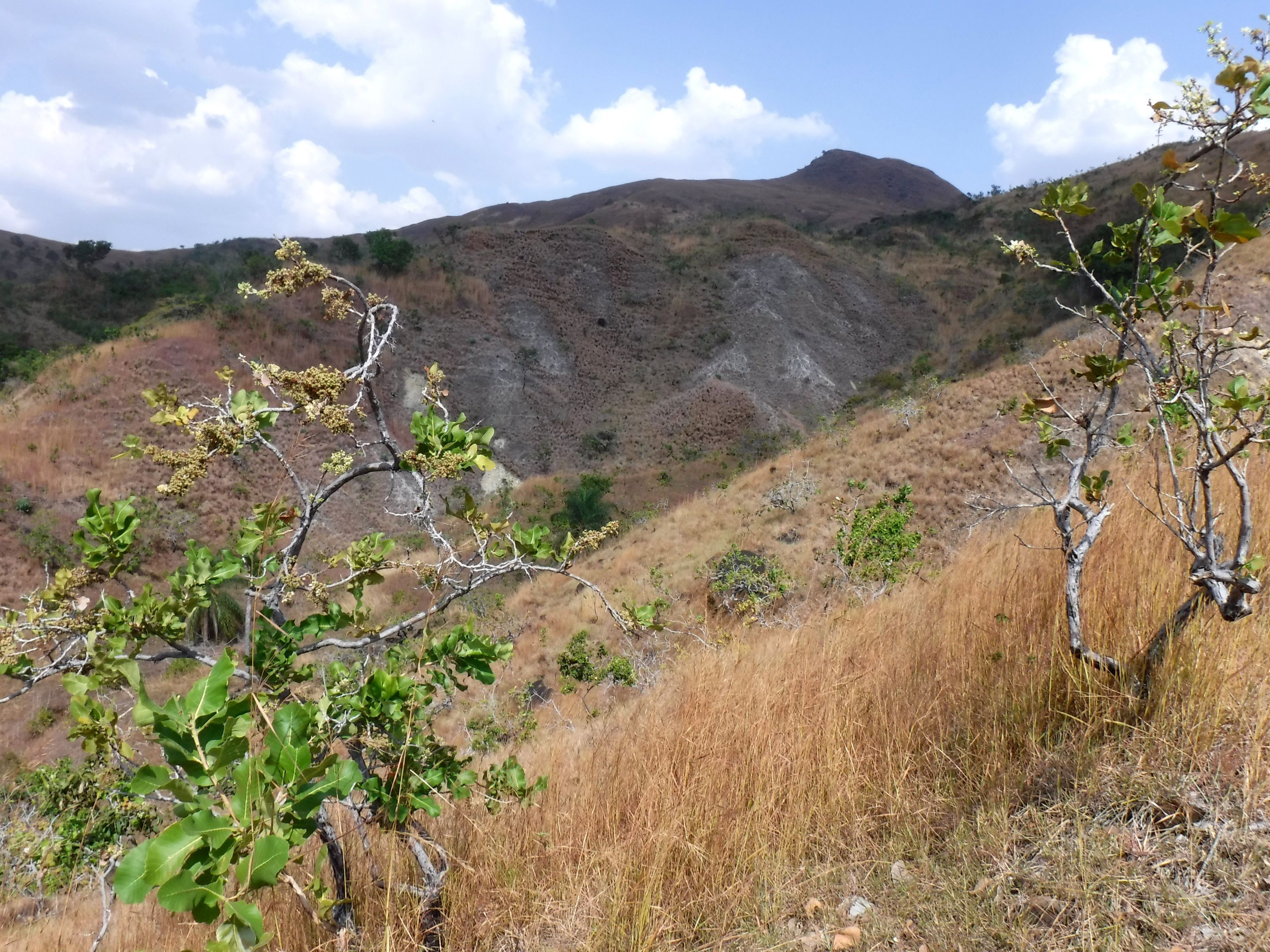 DSCF7788.JPG