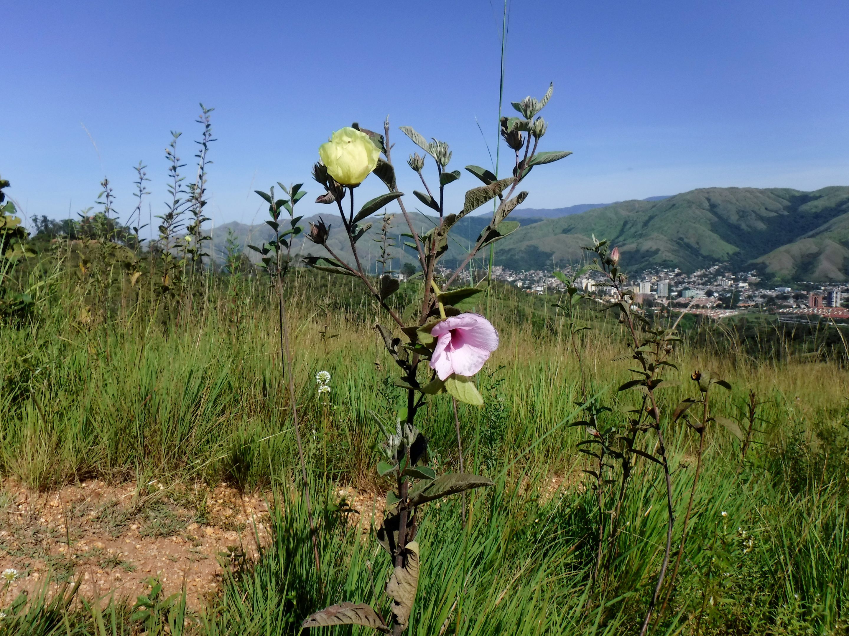 DSCF8369.JPG
