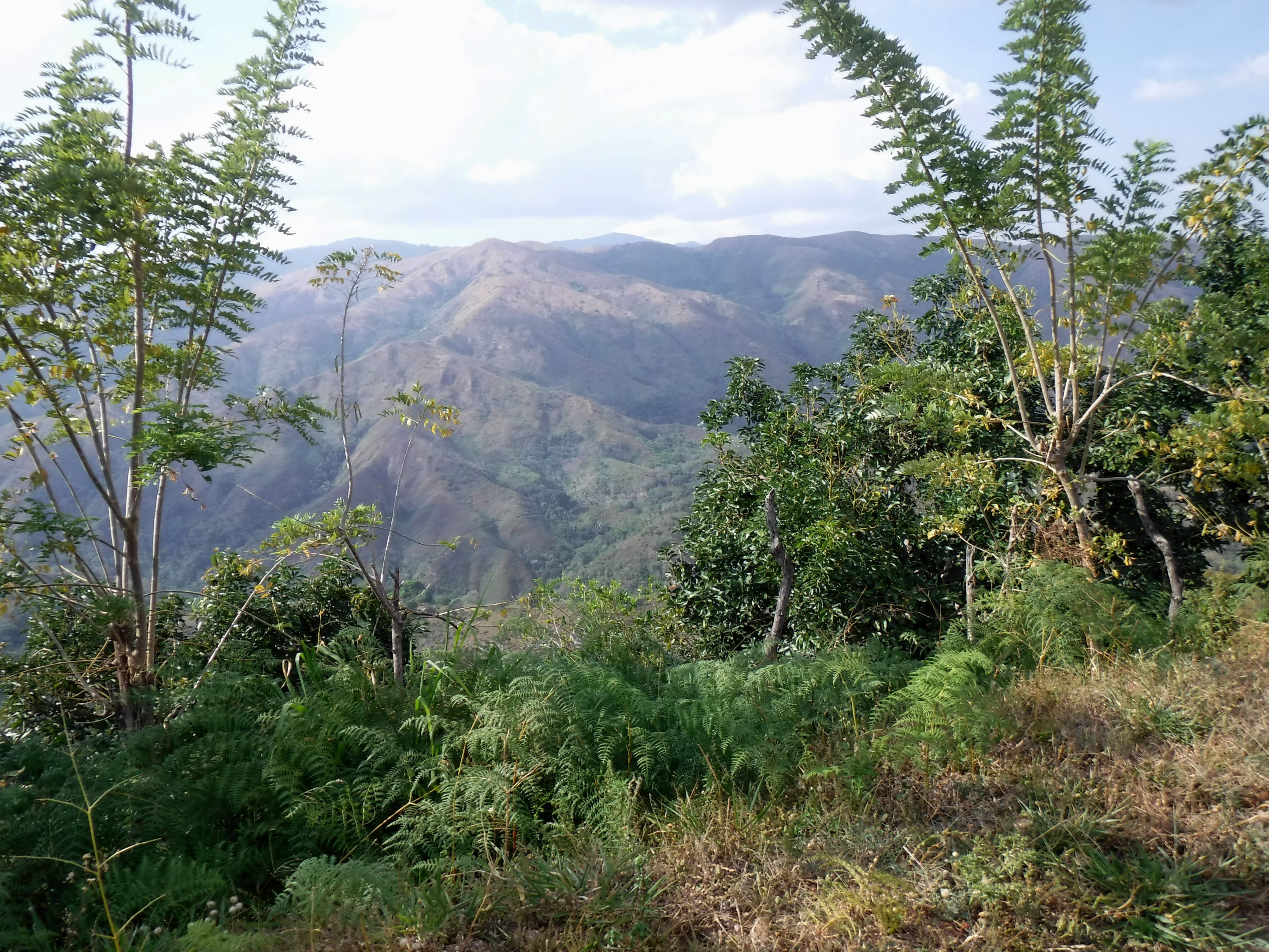 DSCF7944.JPG