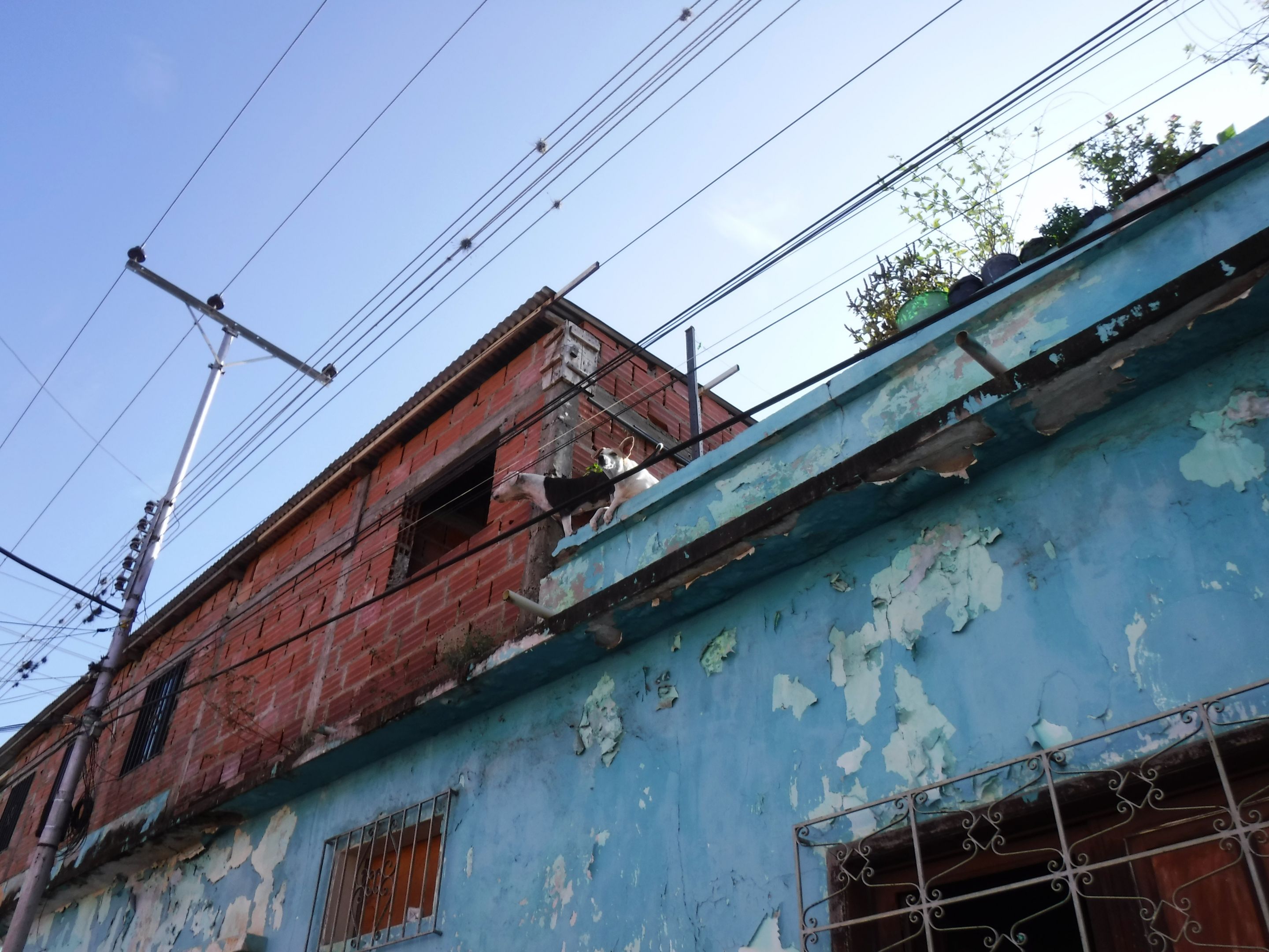 DSCF8248.JPG