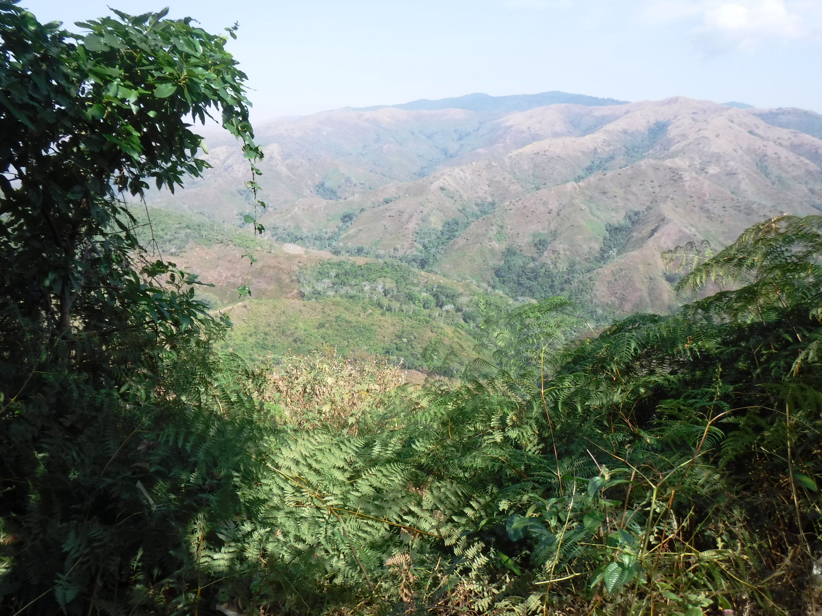 DSCF7972.JPG
