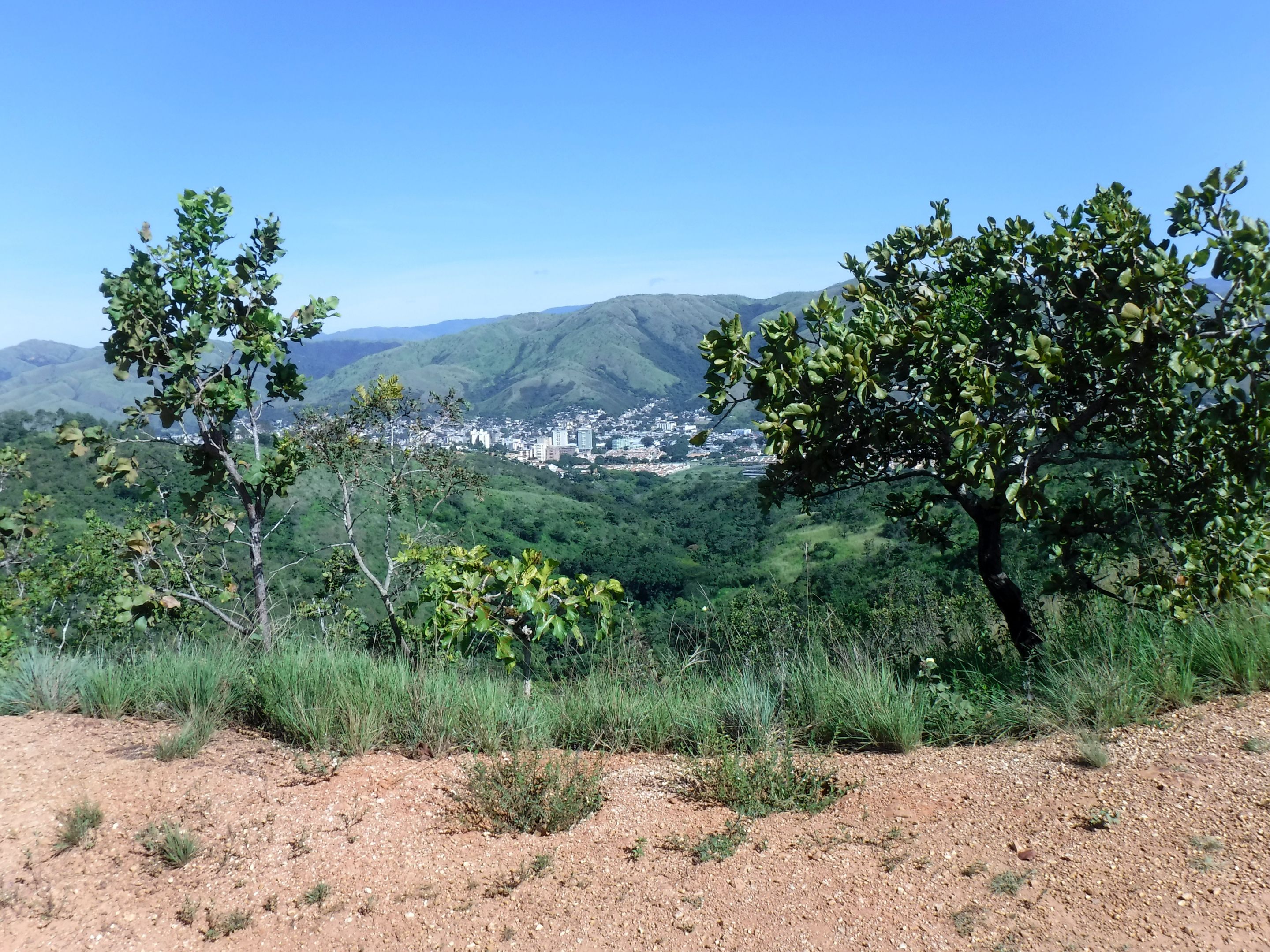 DSCF8371.JPG