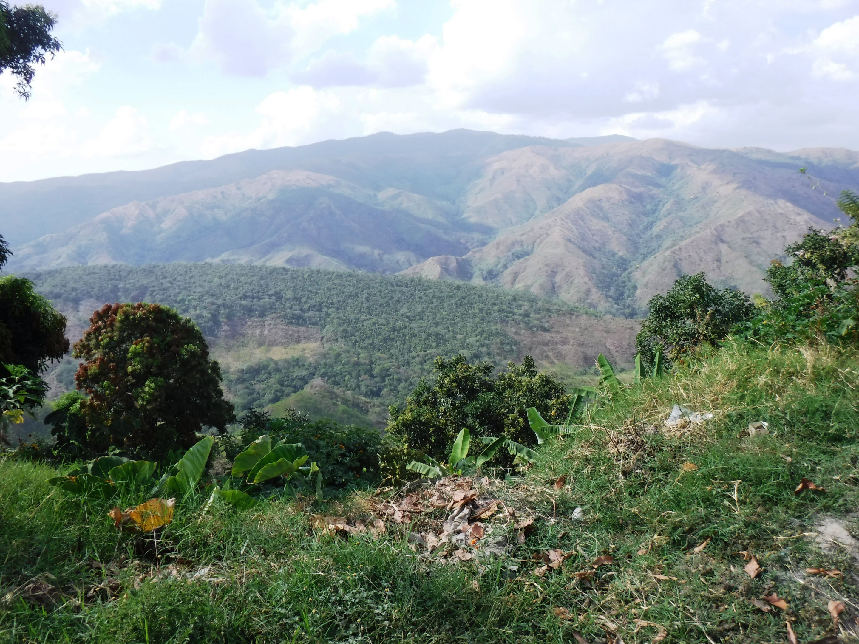 DSCF7928.JPG