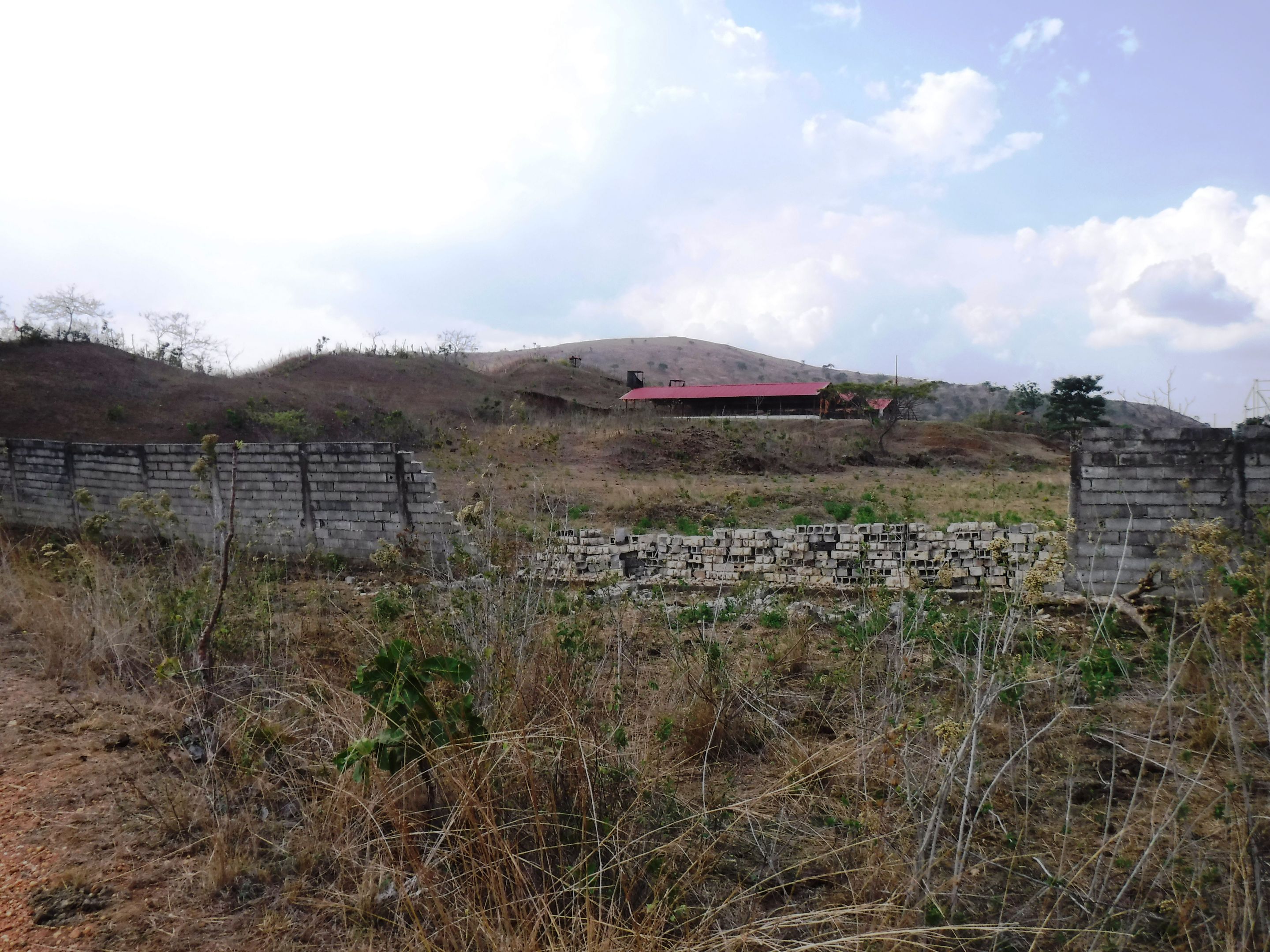 DSCF7794.JPG