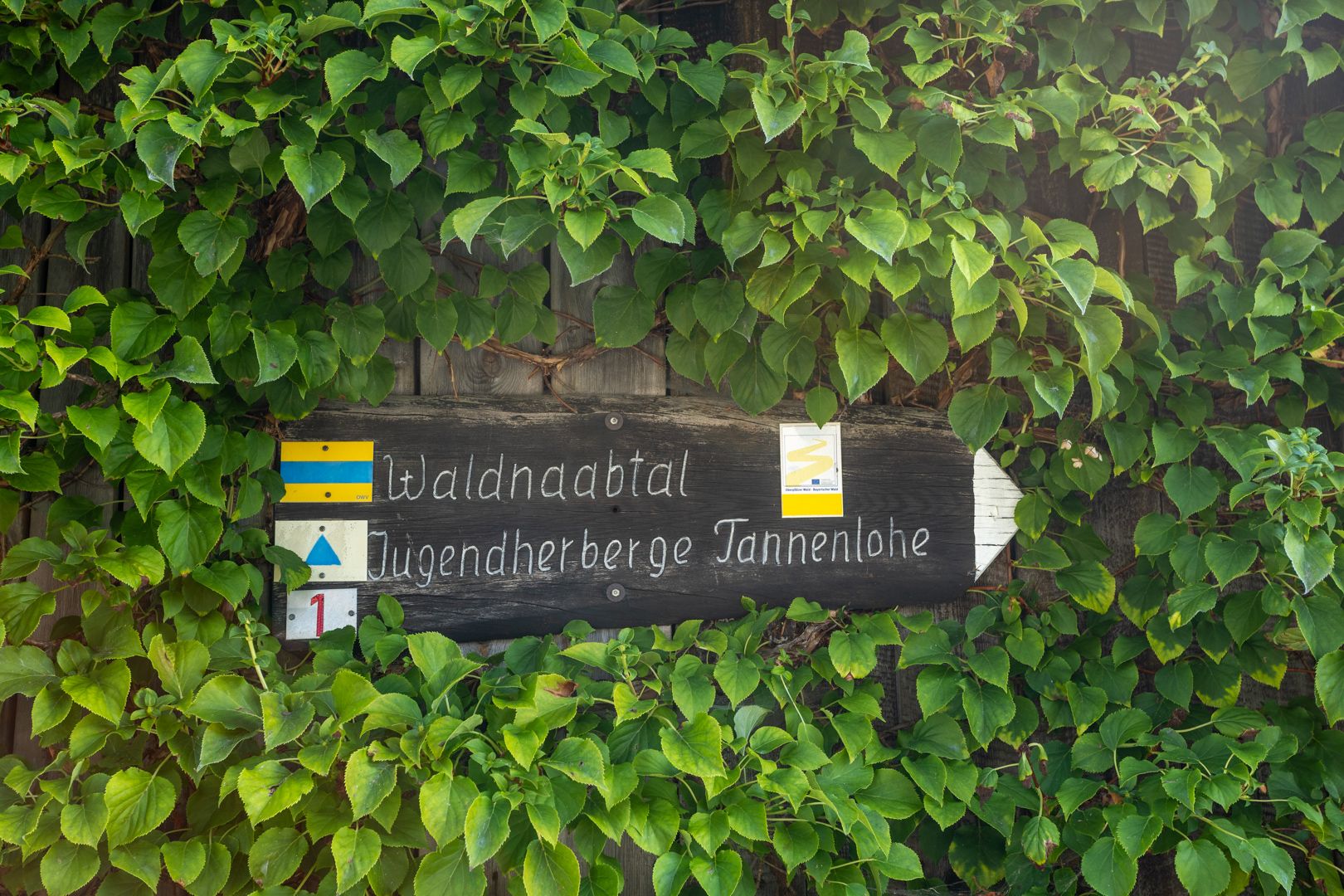 IL5A9825.jpg