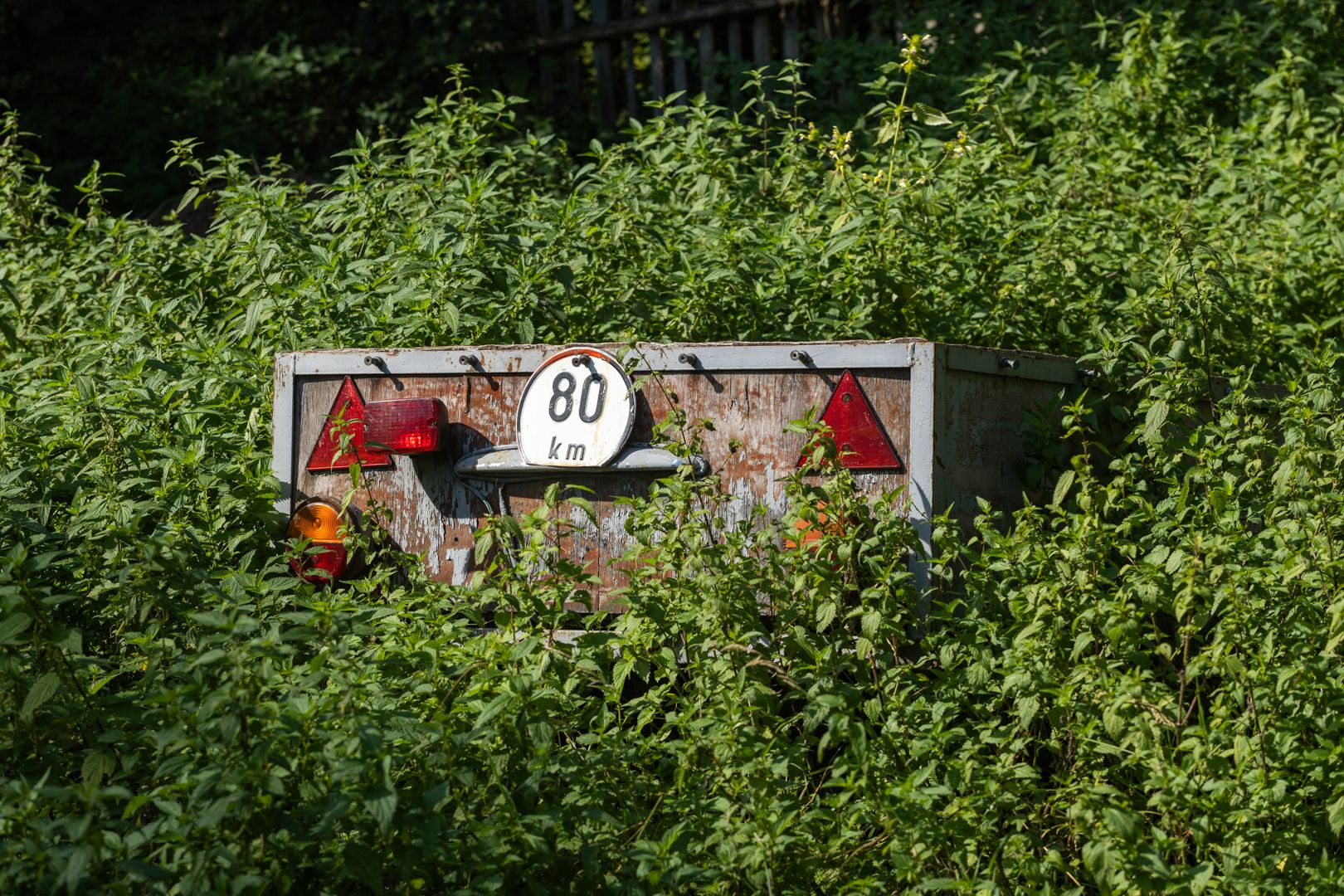 IL5A0124.jpg