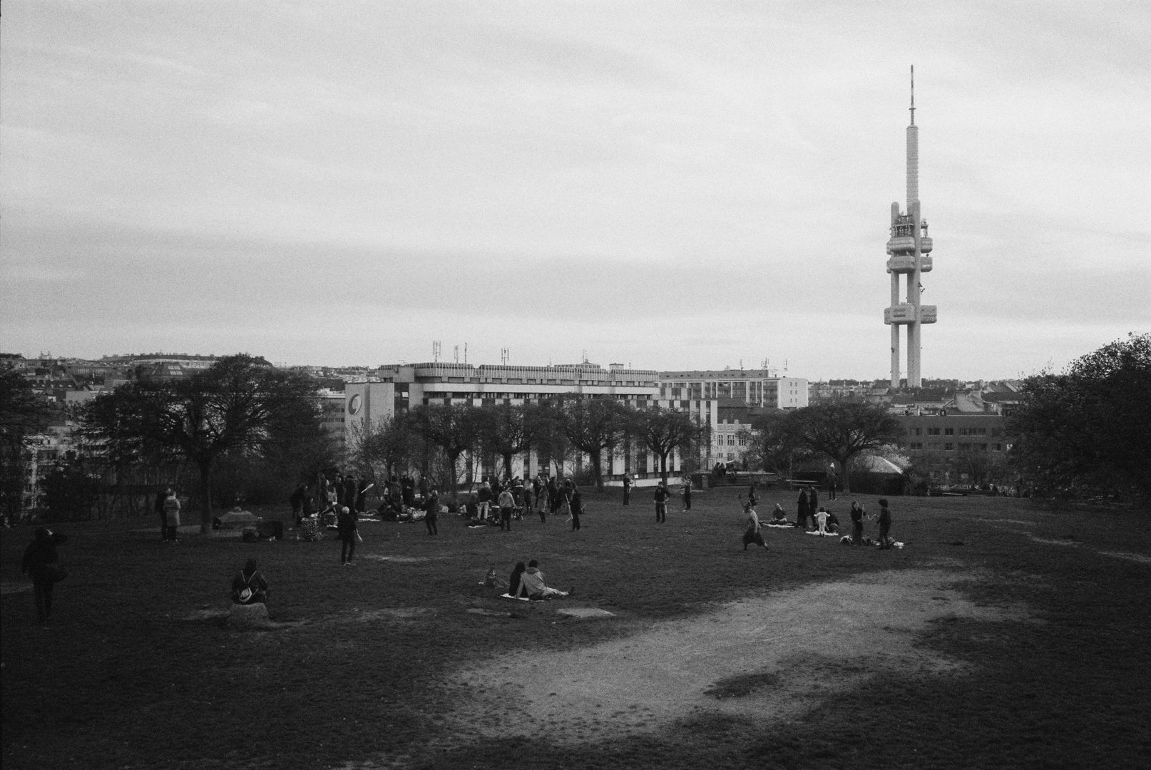 R1-05830-0015.jpg