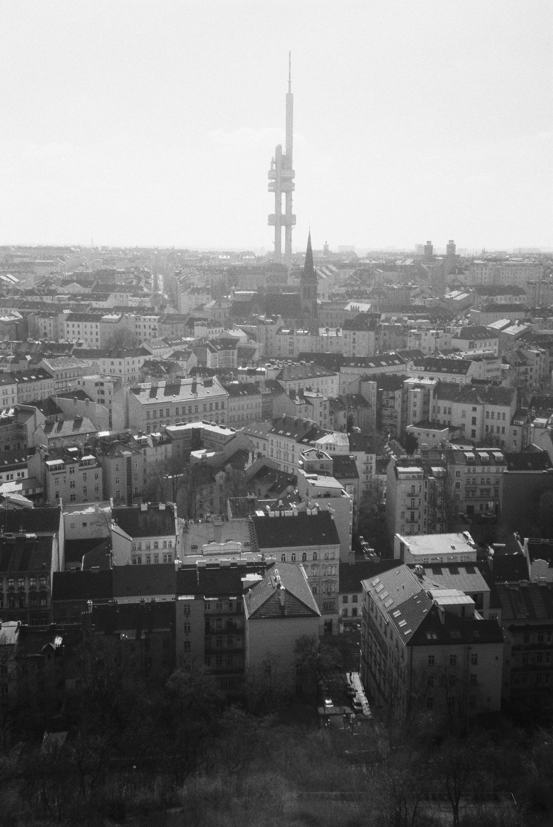 R1-02213-0006.jpg