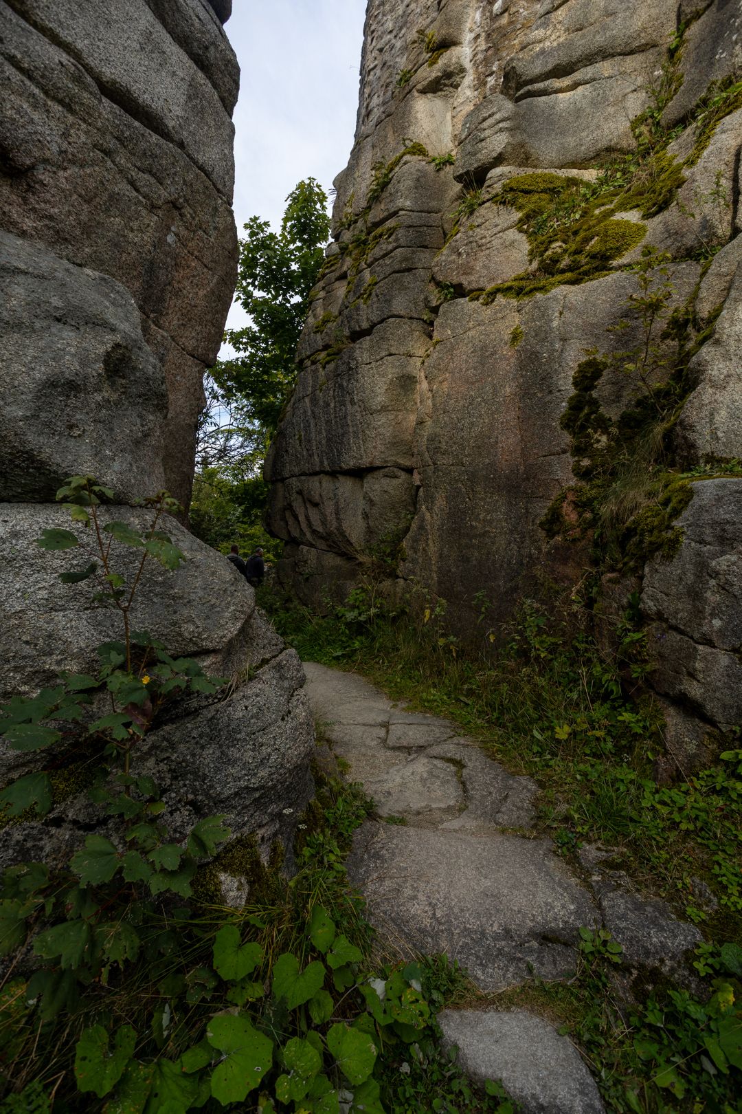 IL5A9671.jpg