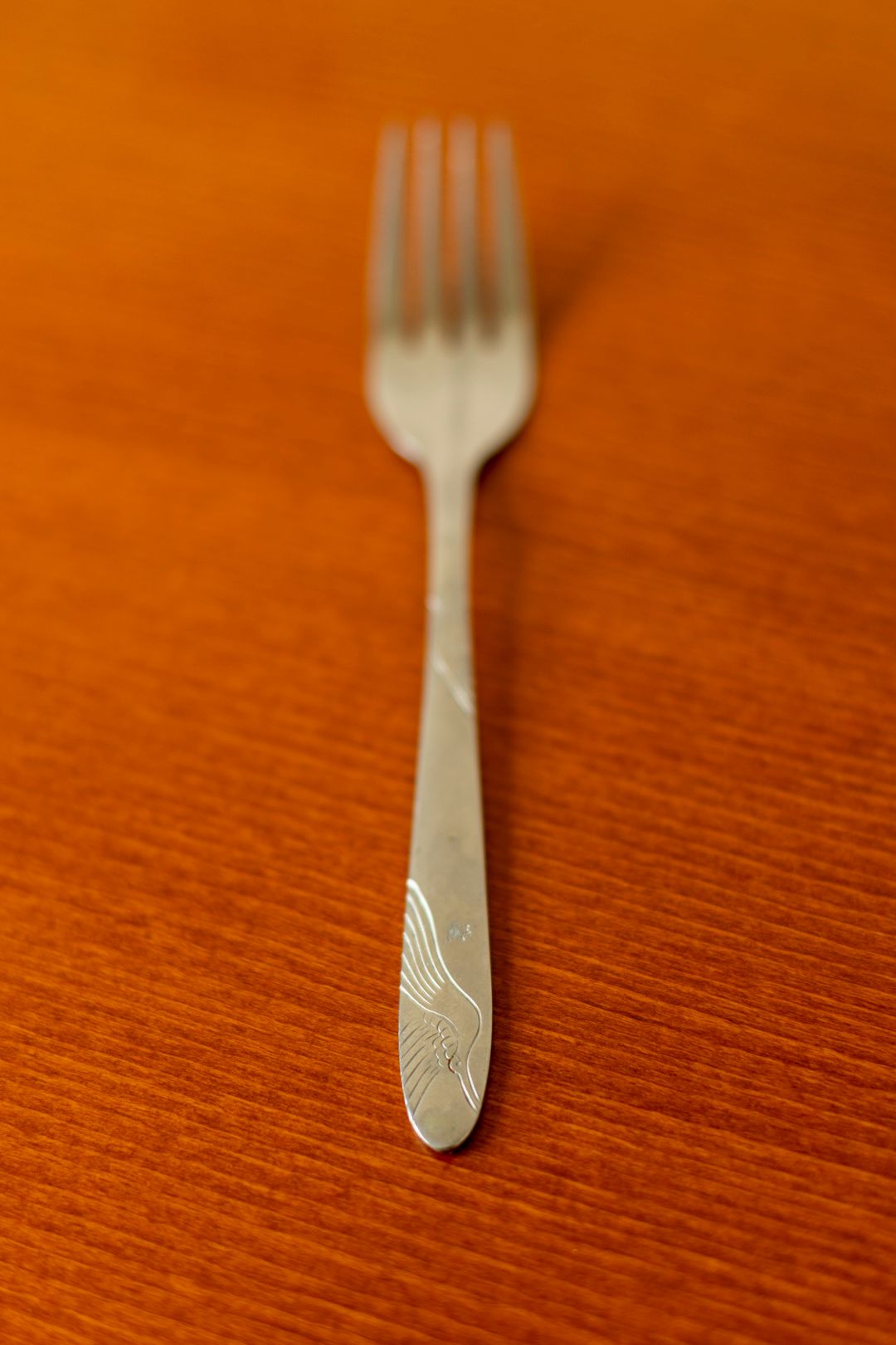 IL5A2973.jpg