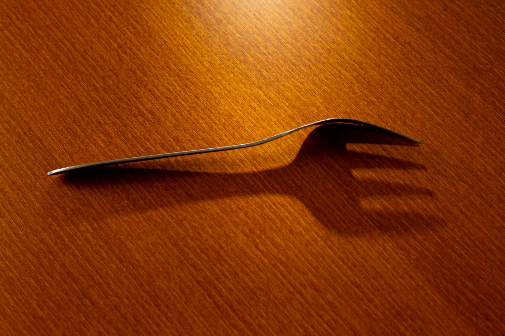 IL5A2971.jpg