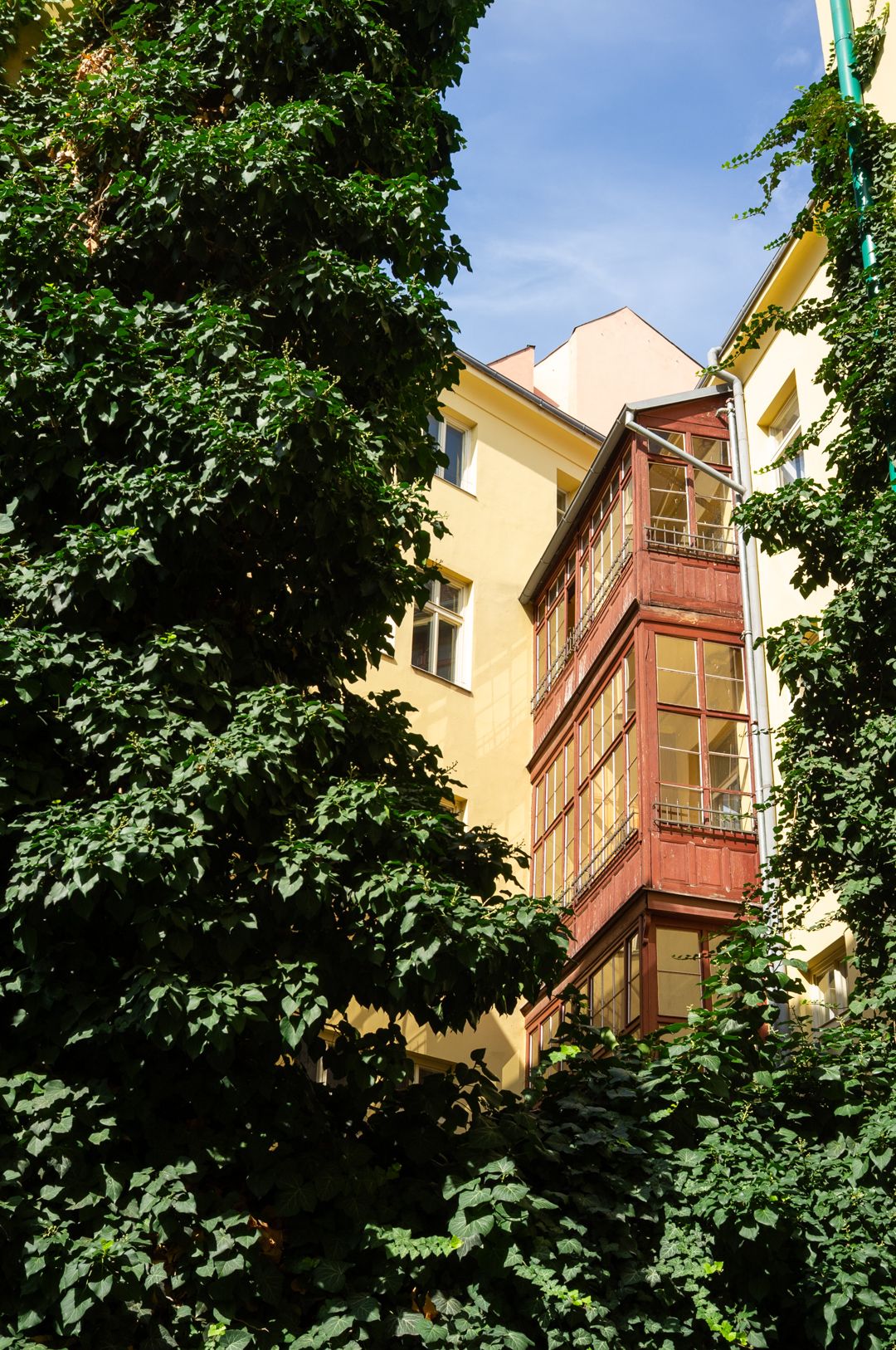 DSCF2831.jpg