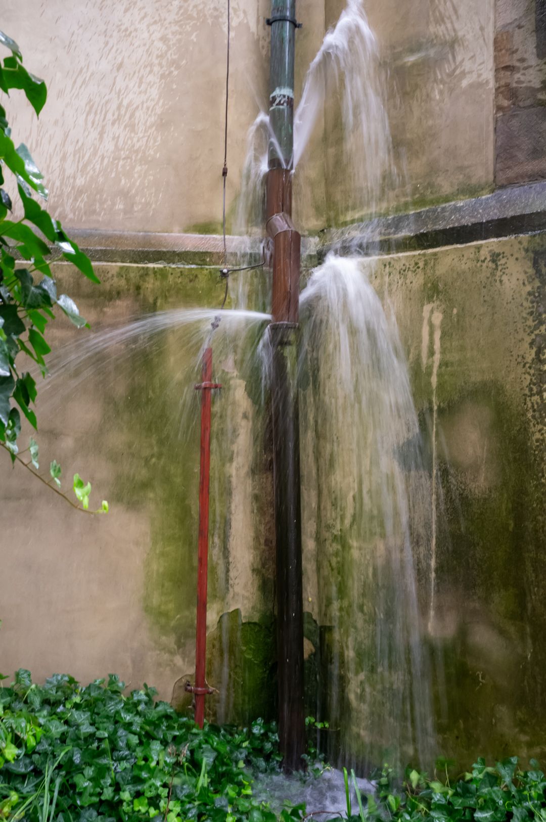 DSCF2716.jpg