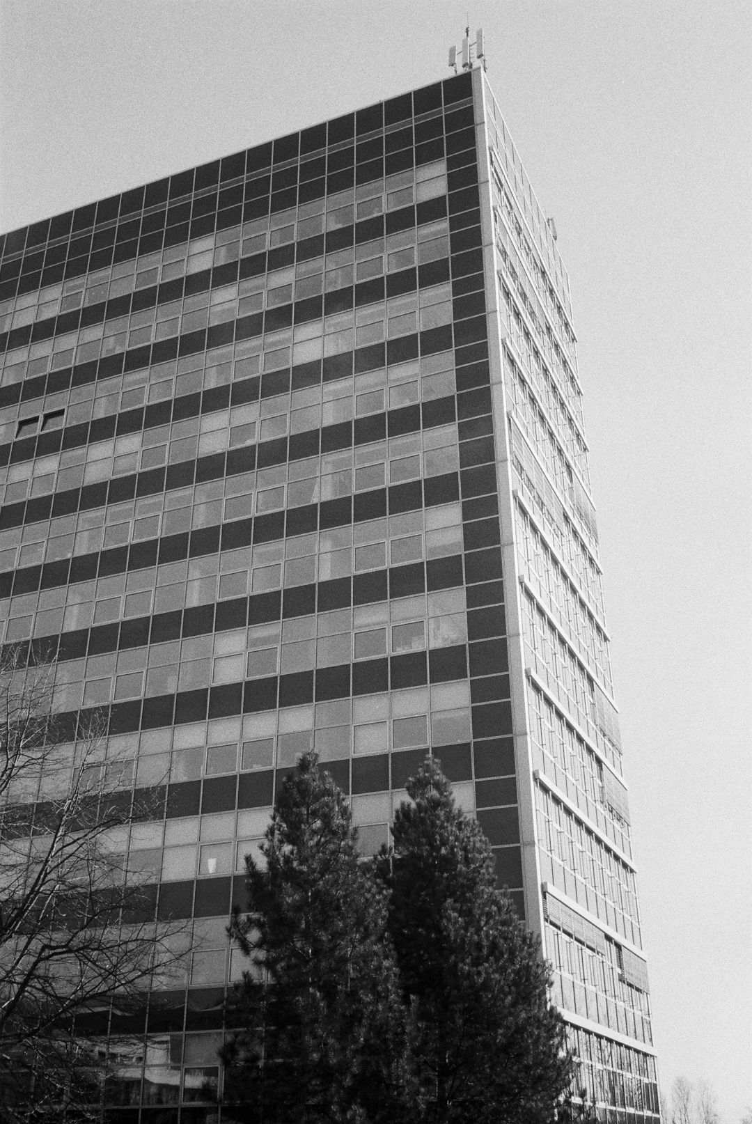 R1-02213-0036.jpg