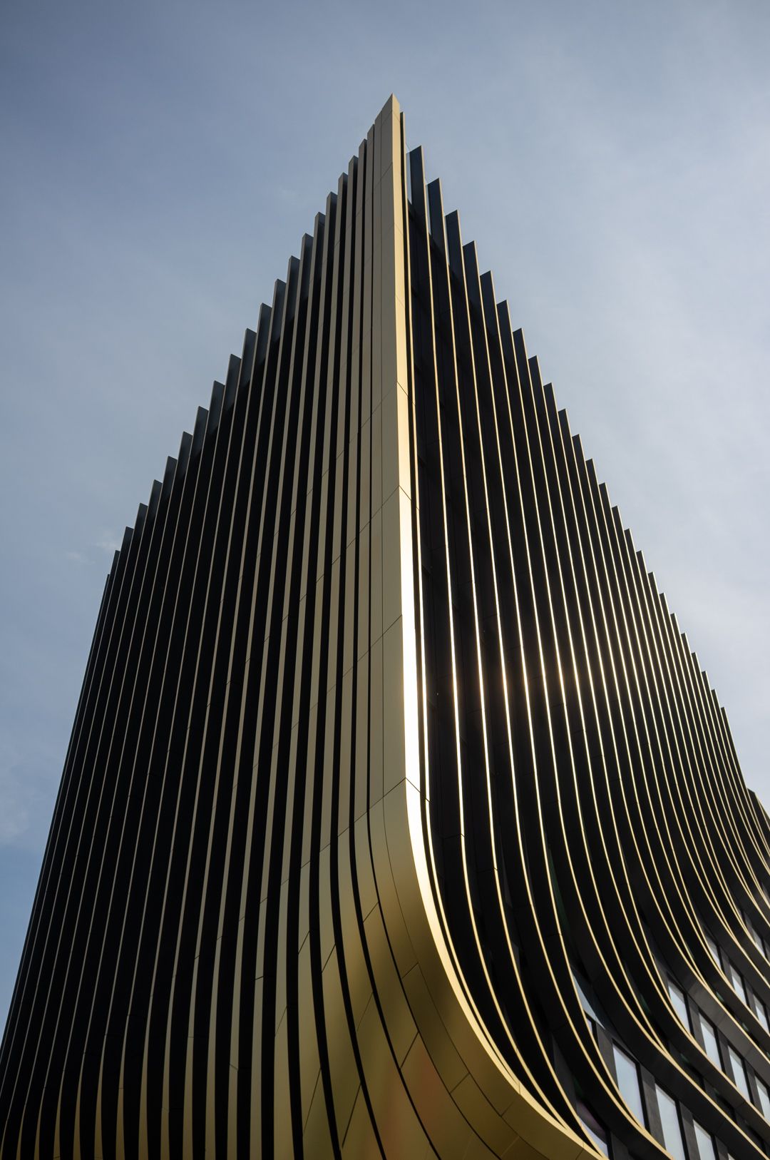 DSCF2826.jpg