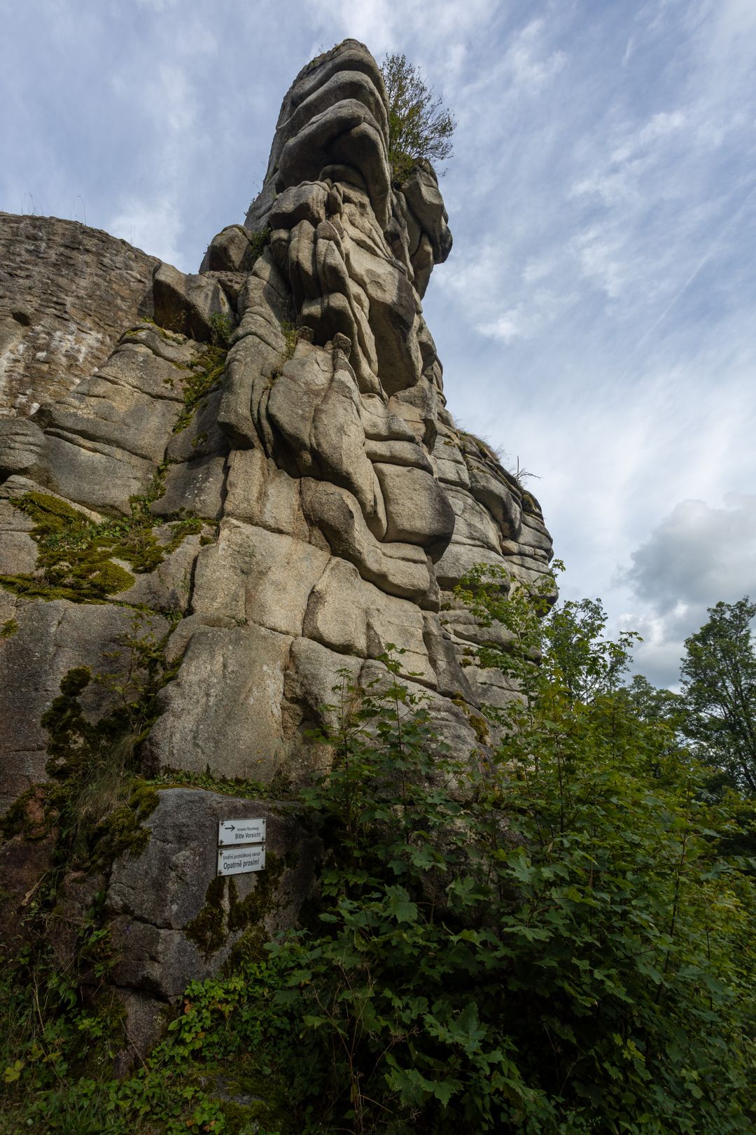 IL5A9670.jpg