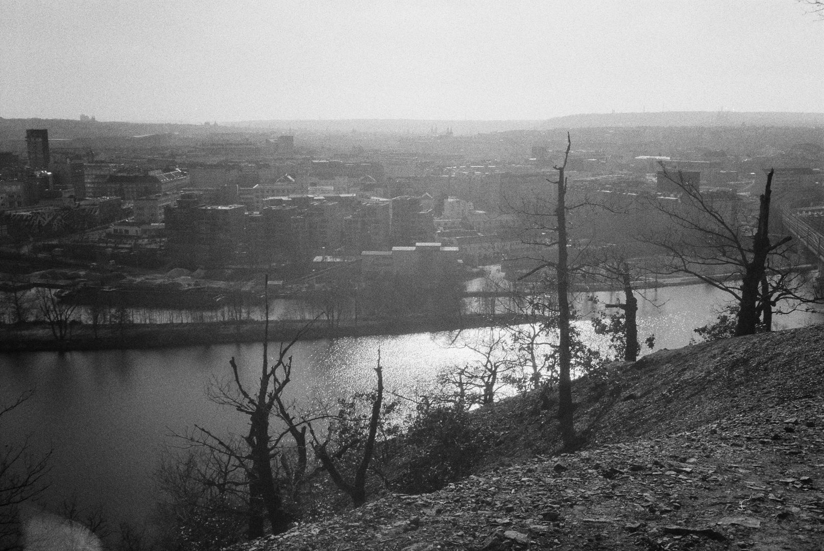 R1-02213-0030.jpg