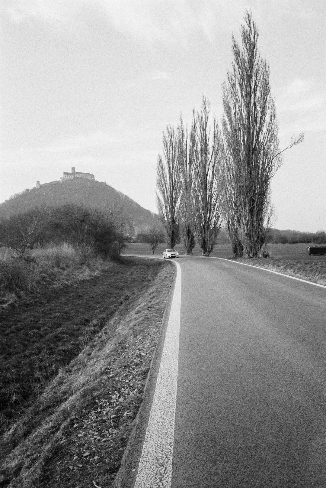 R1-03914-0013.jpg