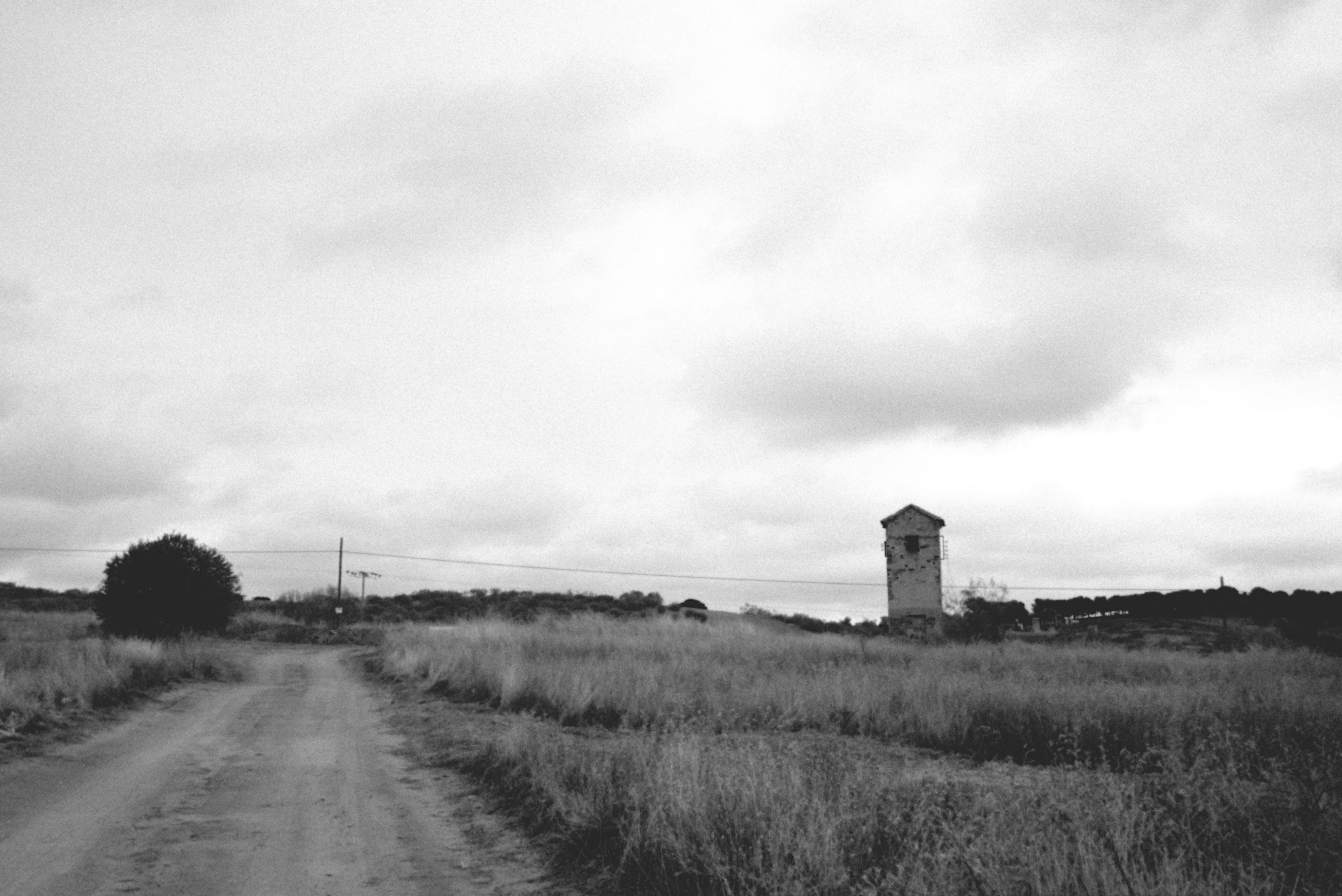 Paisaje_torres_2 copia.jpg