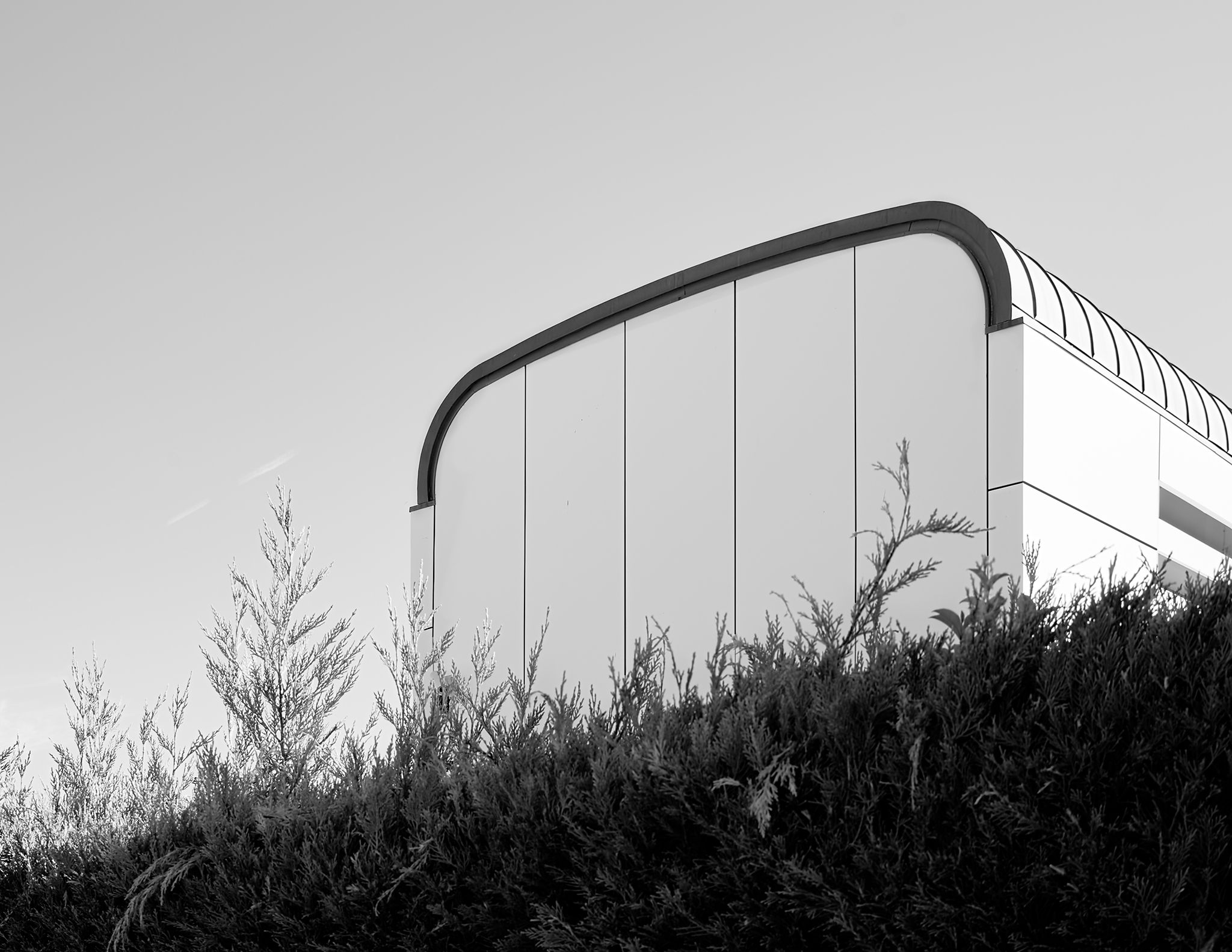 Filmoteca_Nacional_3 copia.jpg