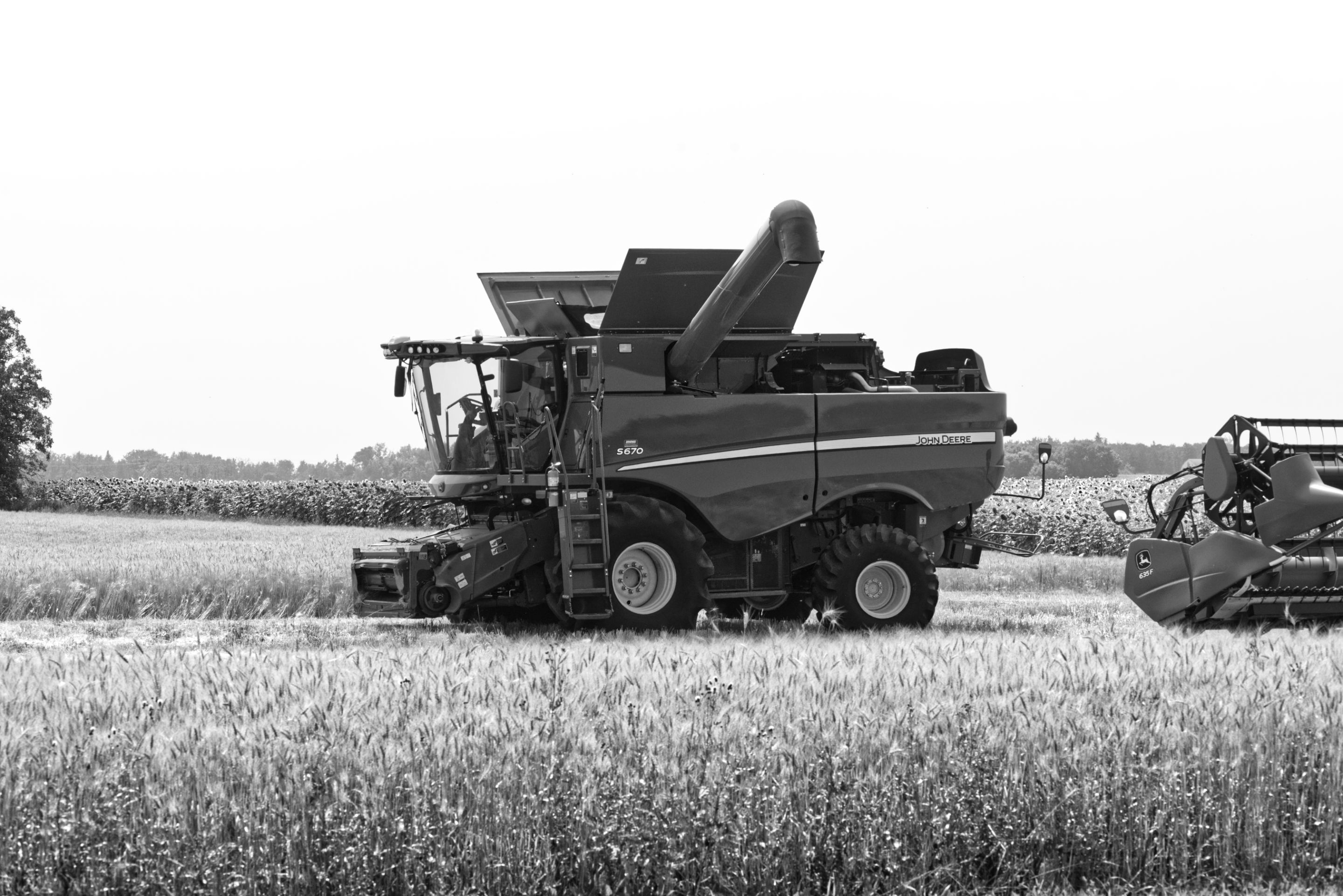 farm-sokal-0000bw.jpg