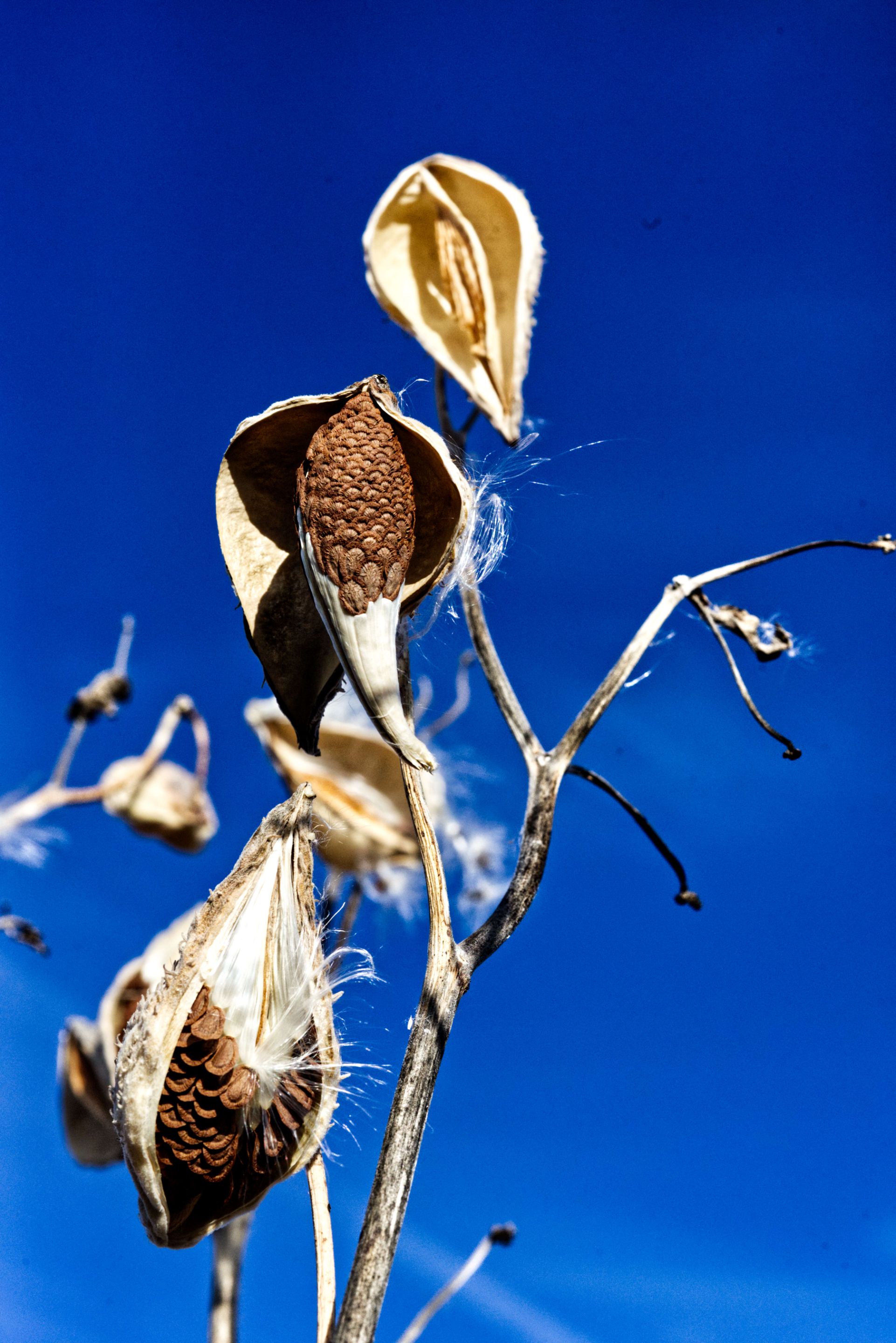 spring-3.jpg