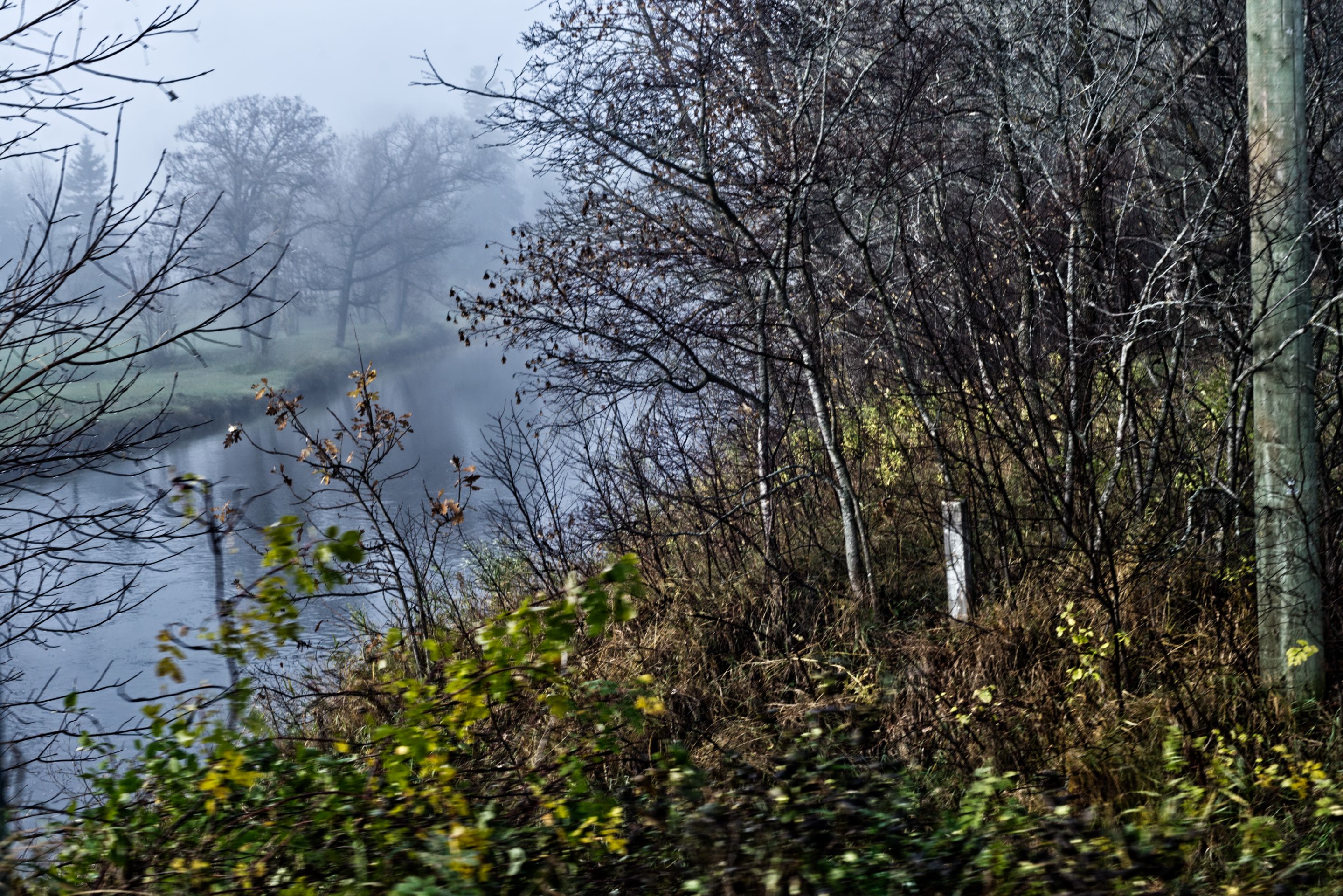 foggy-9.jpg
