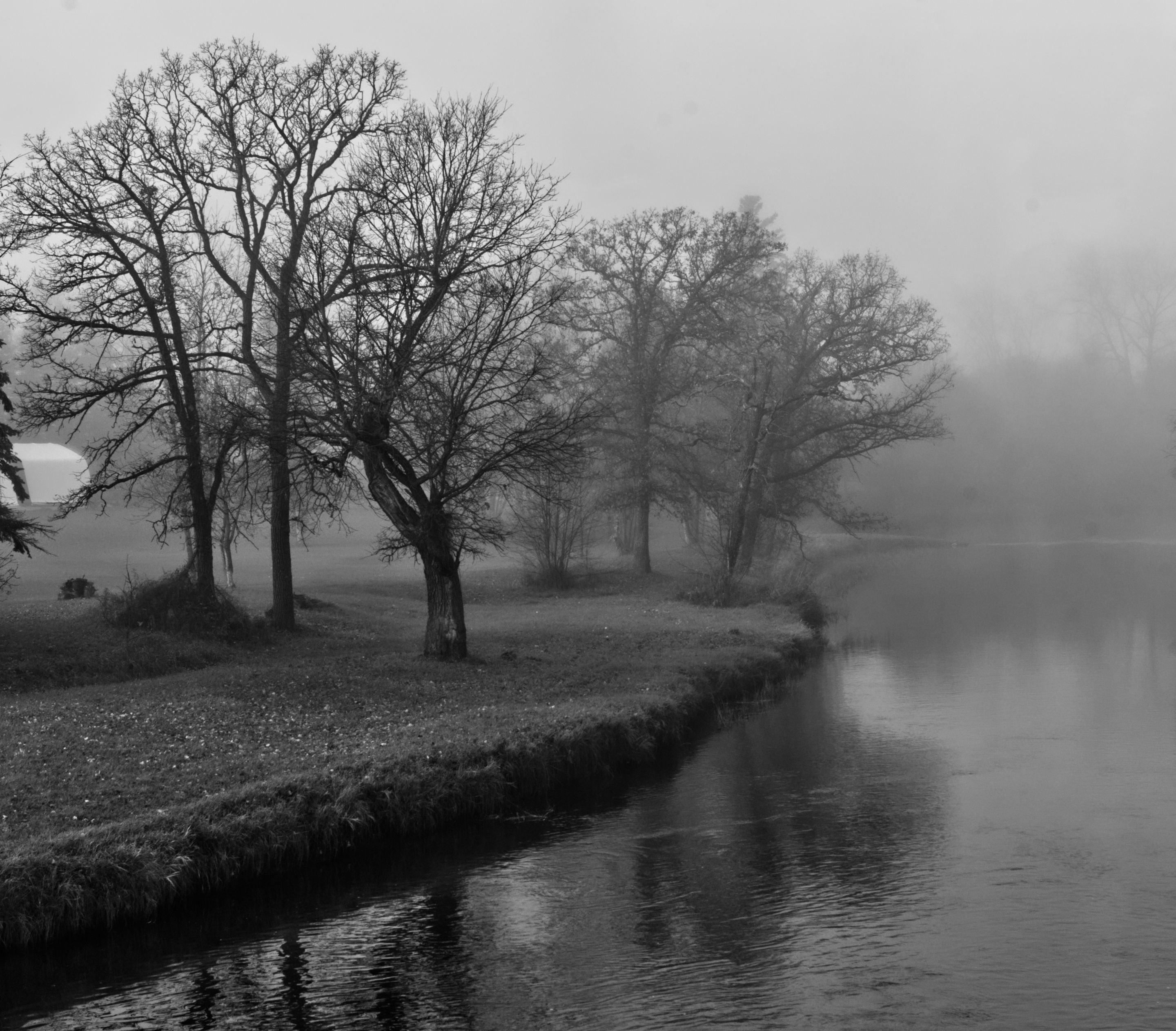 foggy-0.jpg