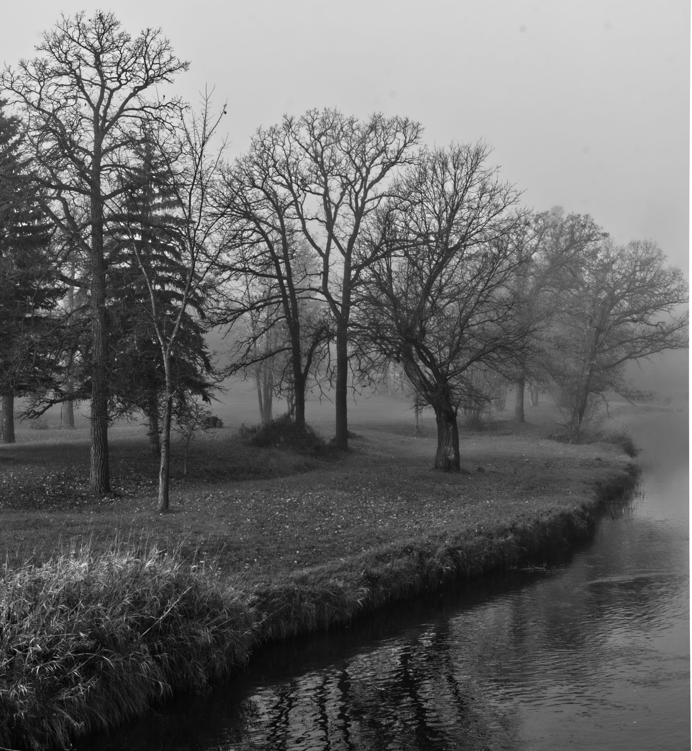foggy-5.jpg