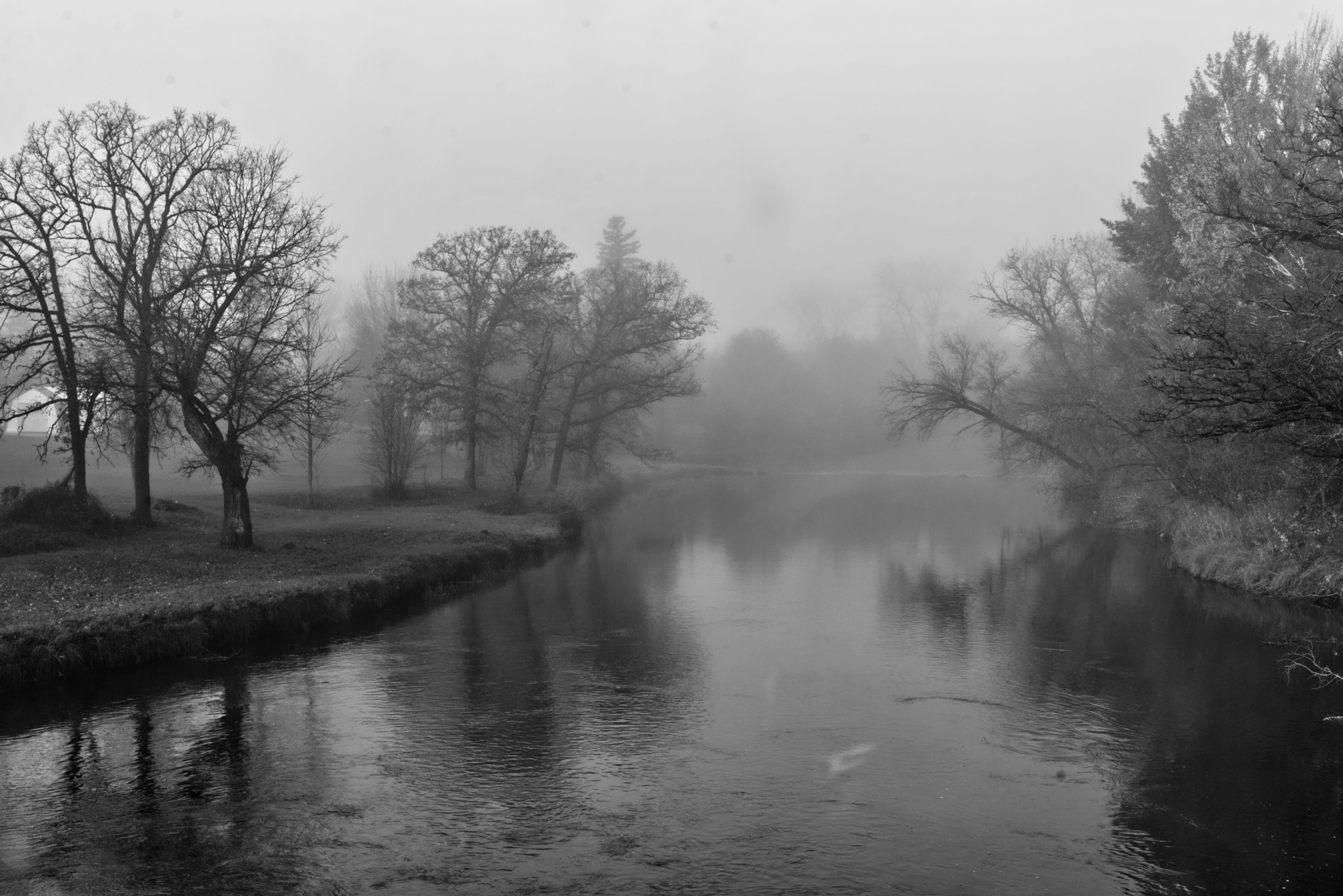 foggy-7a.jpg
