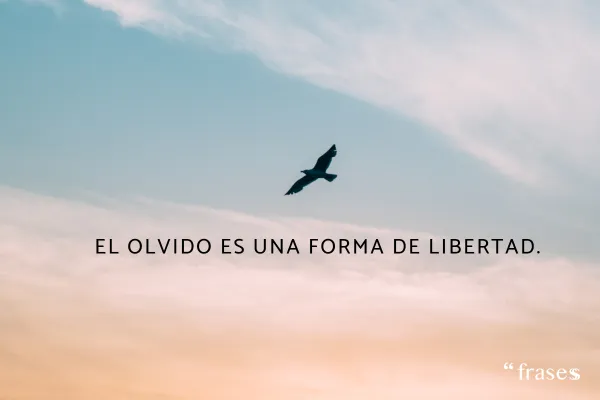el_olvido_es_una_forma_de_libertad_668_5_600.webp